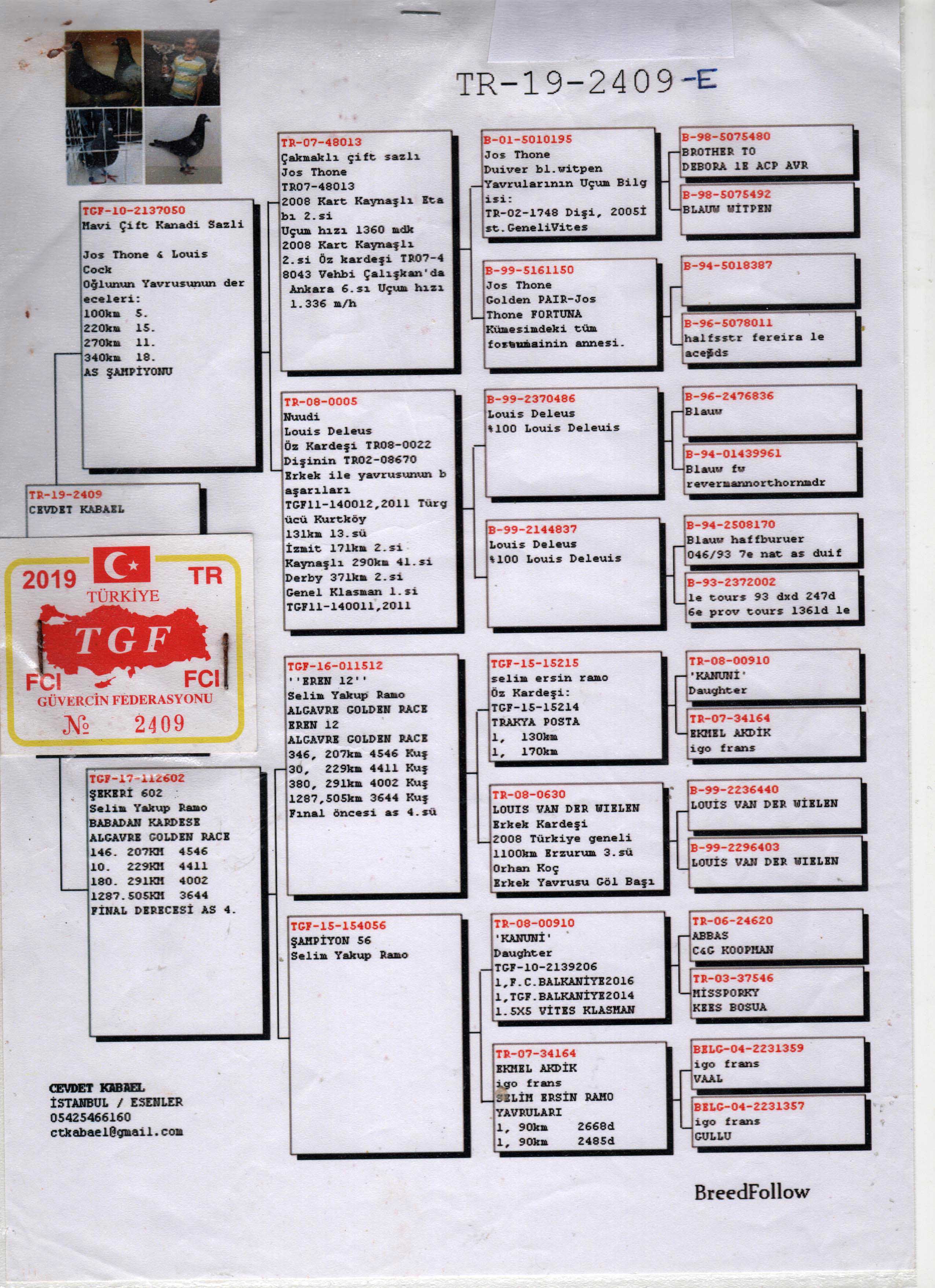 TR19-2409 ERKEK / JOS THONE - DELEUS 