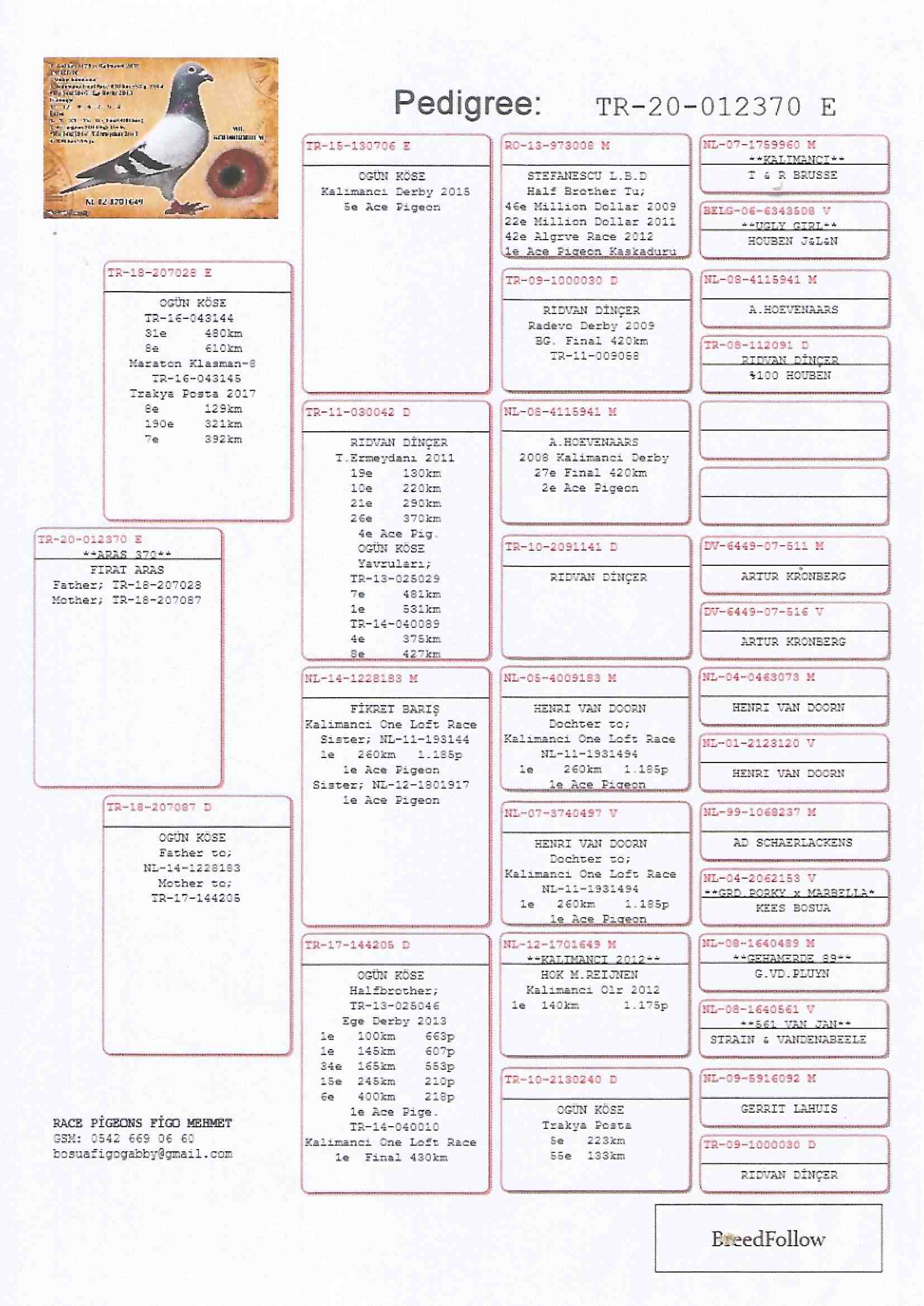 TR20-012370 ERKEK  / OGÜN KÖSE % 100