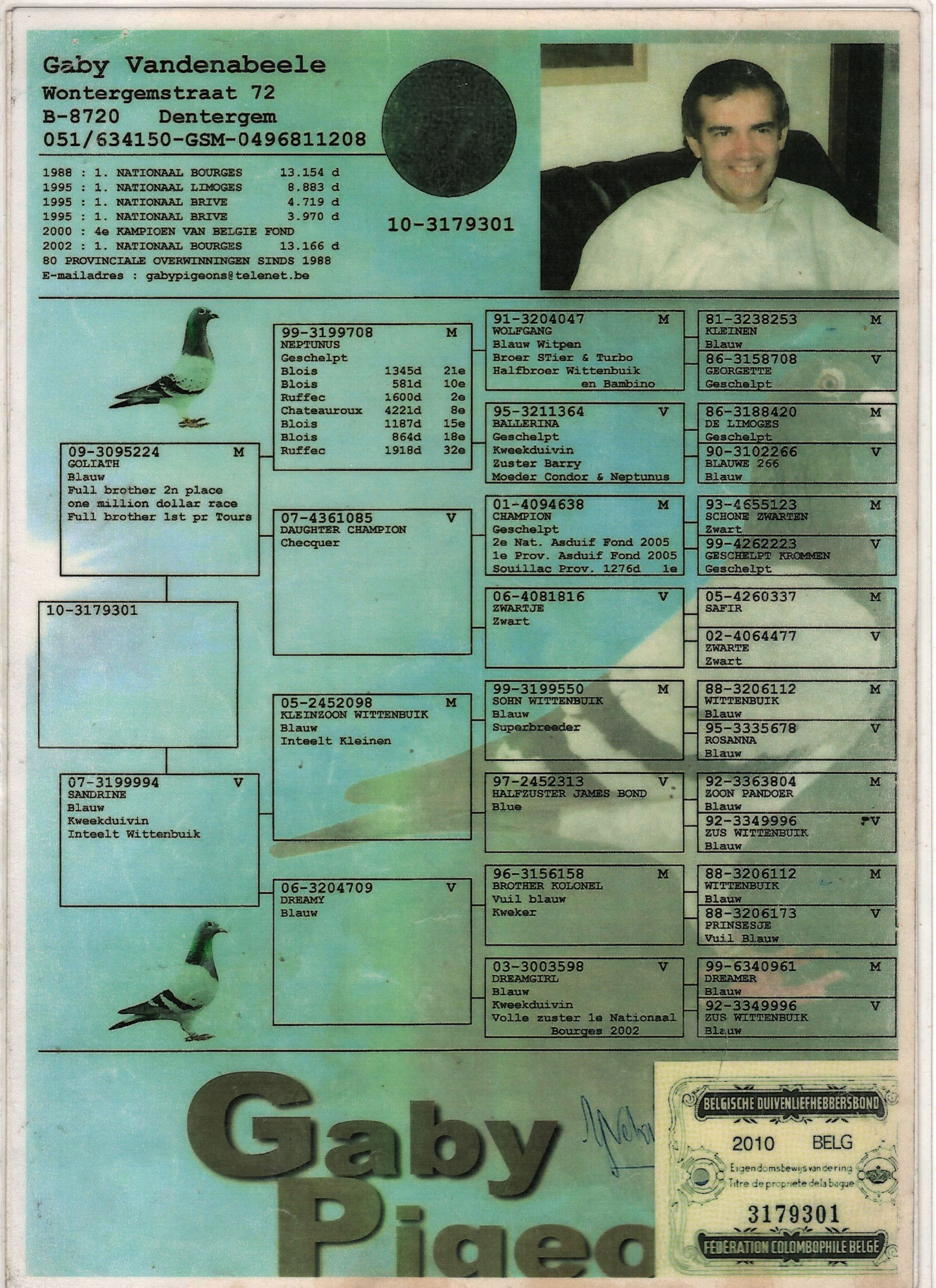 TR20-012584 DİŞİ / GABY VANDENABEELE % 100