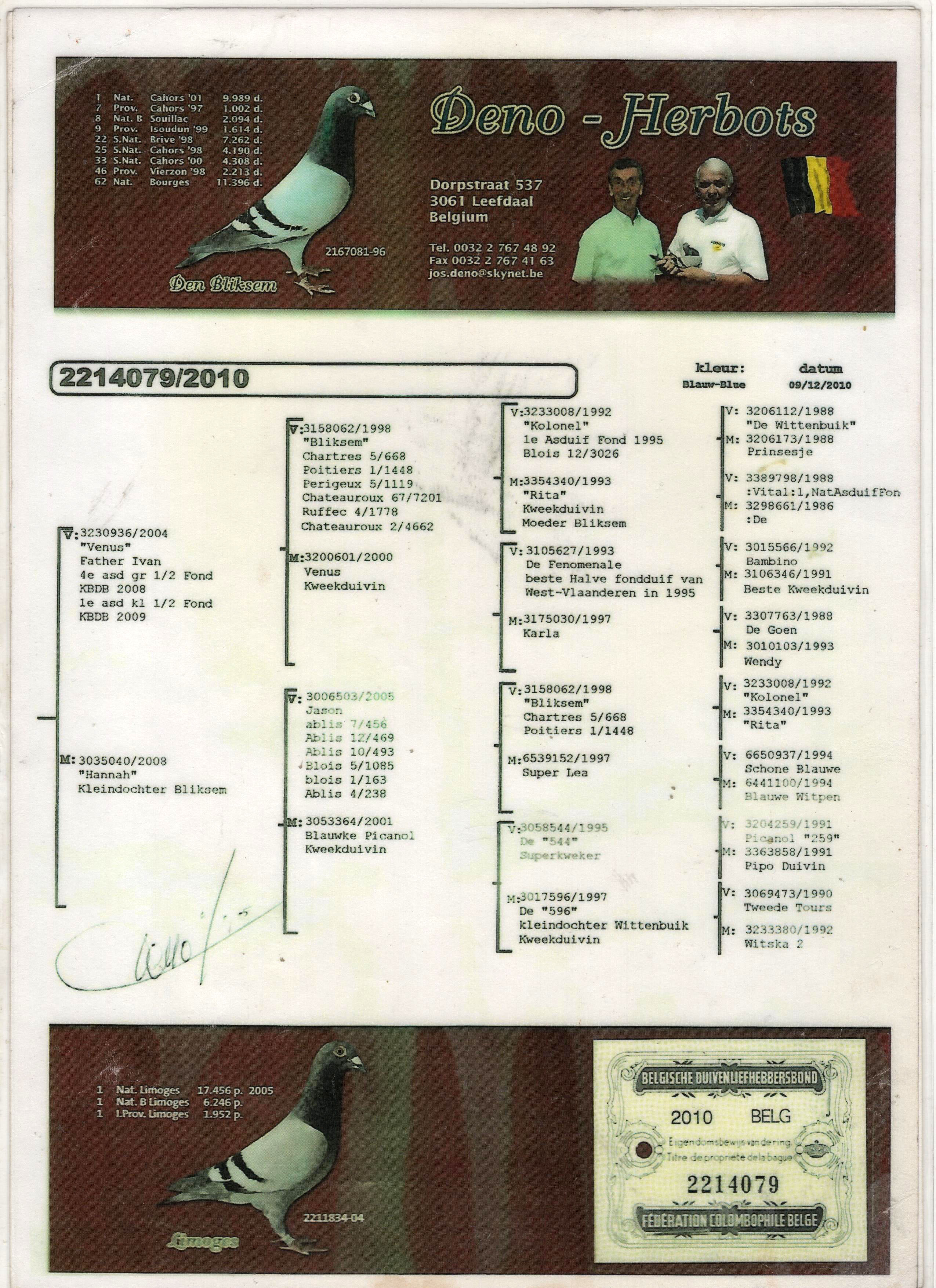 TR20-012584 DİŞİ / GABY VANDENABEELE % 100