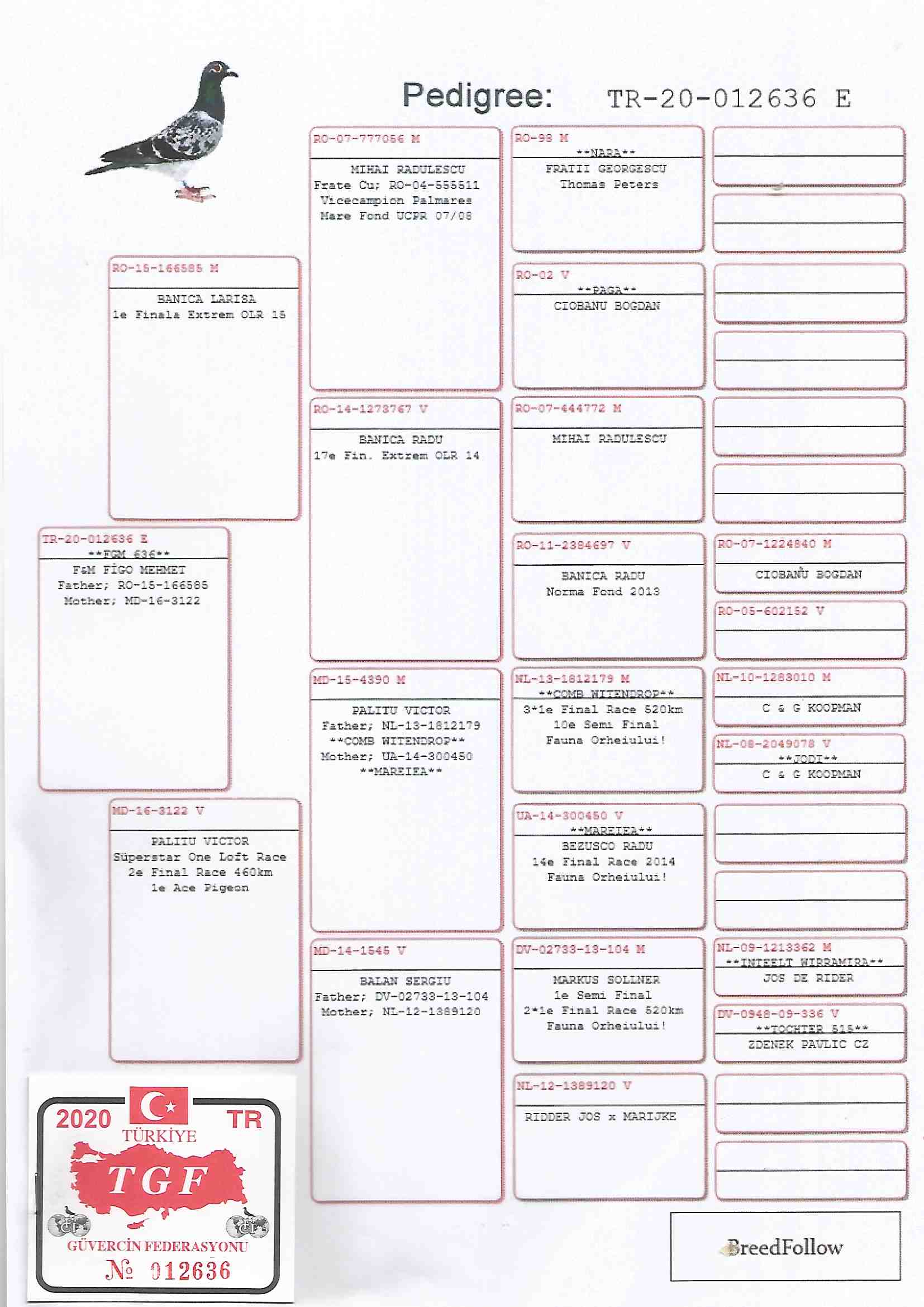 TR20-012636 / BABASI 1. FİNAL EXTREM ANNESİ 2. FİNAL SÜPERSTAR