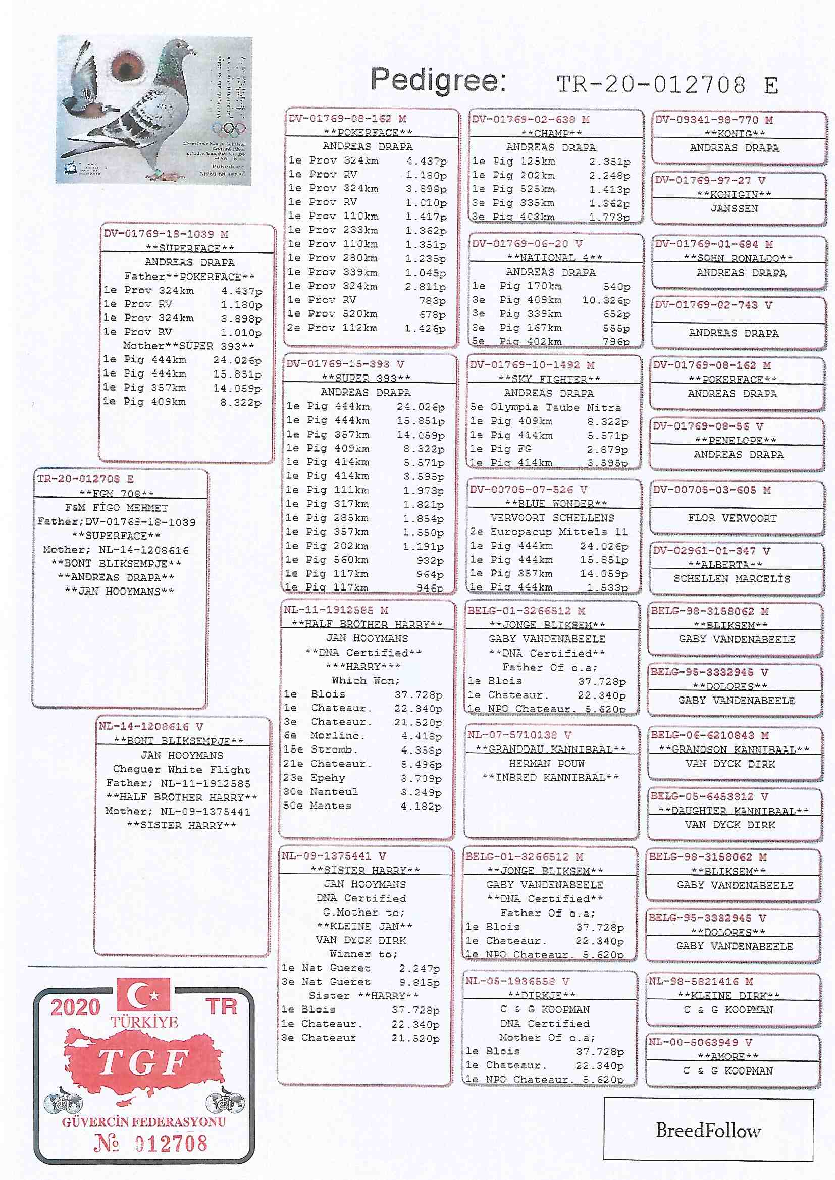 TR20-012708 ERKEK / DRAPAA -  BABADAN KARDEŞİ 6. ACE PİGEON OLR KALIMANCI 2020