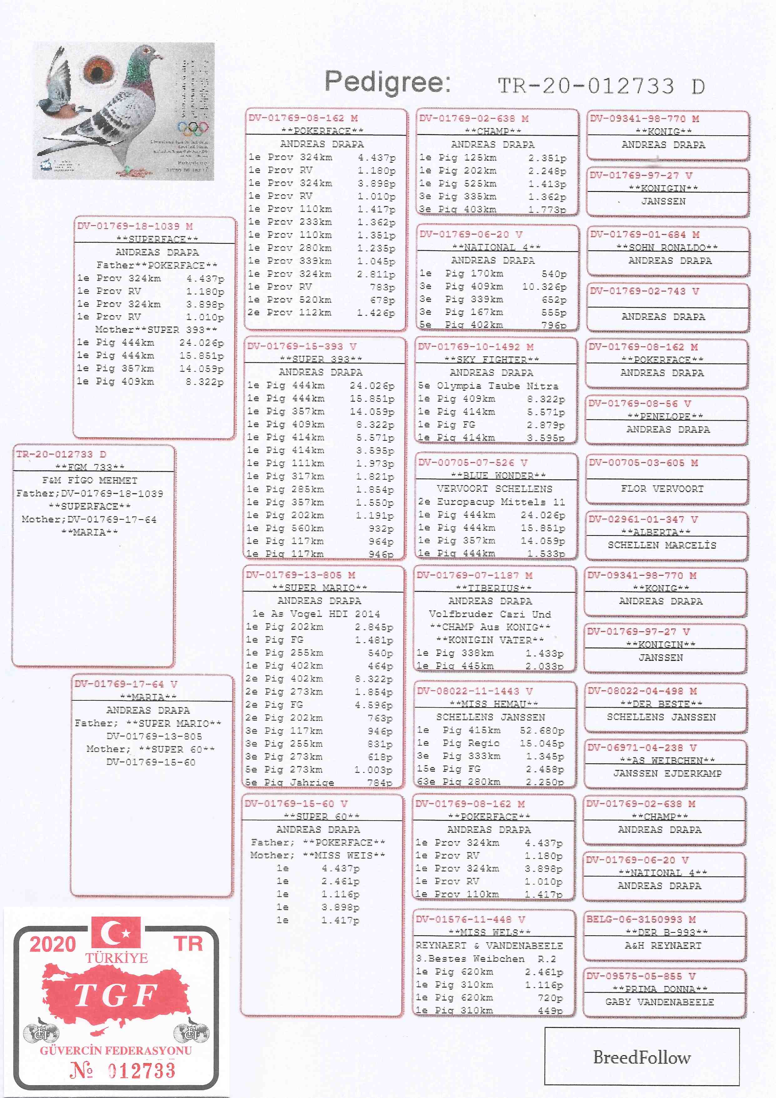 TR20-012733 DİŞİ / ANDREAS DRAPA % 100   INBREED POKERFACE 