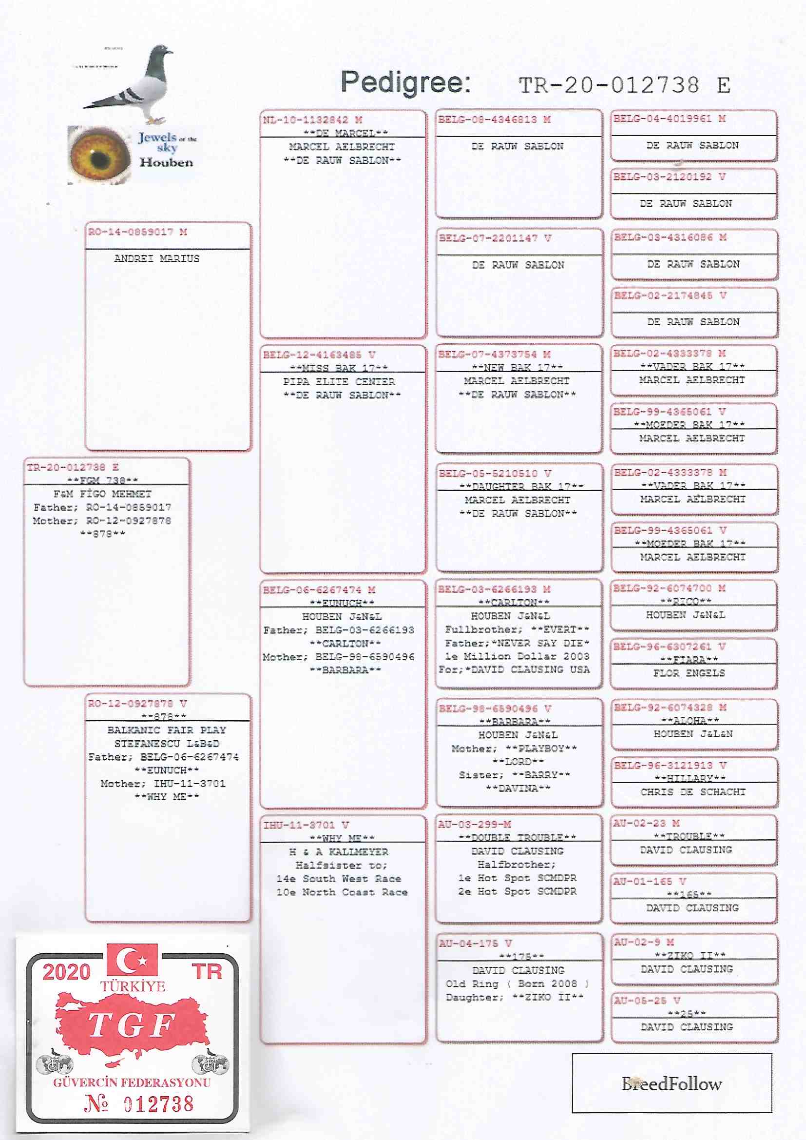 TR20-012738 ERKEK / BABASI ŞABLON % 100 ANNESİ HOUBEN 