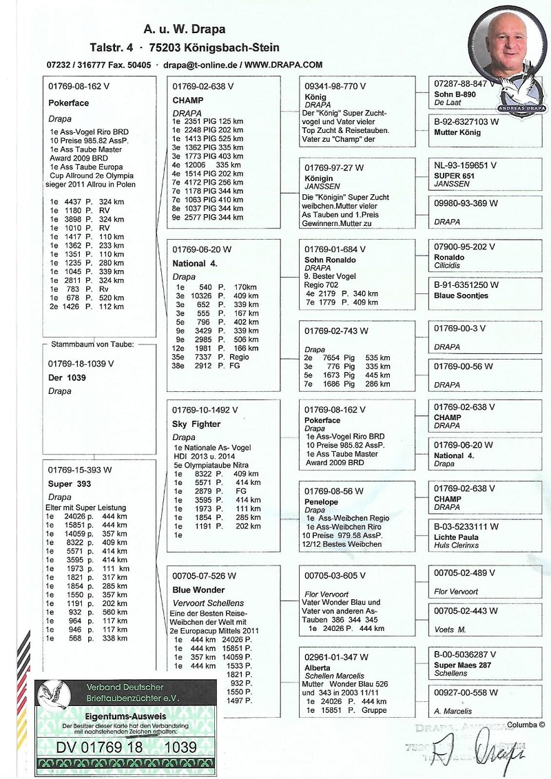 TR20-012785 ERKEK / DRAPA -  BABADAN KARDEŞİ 6. ACE PİGEON OLR KALIMANCI 2020 