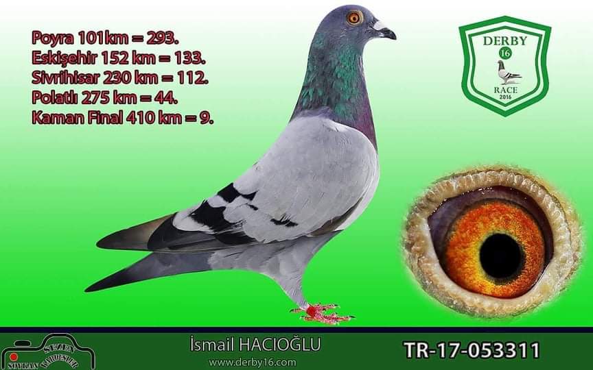 TR20-017037 KENDİSİ FİNAL 36. ROTA YENİŞEHİR