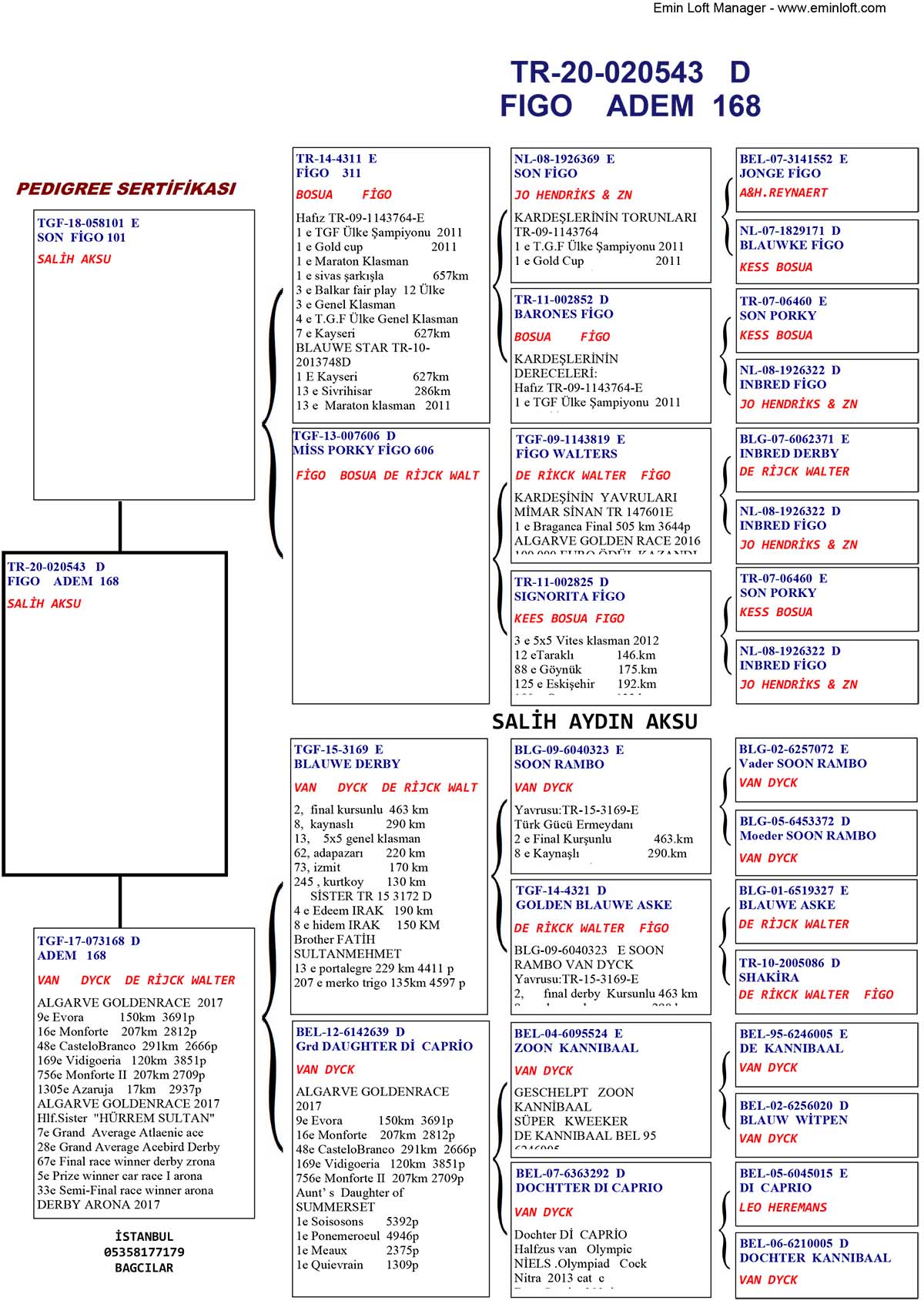 TR20-020543 DİŞİ / ANNESİ ADEM 168   -    BABASI R. WALTER - K BOSUA 