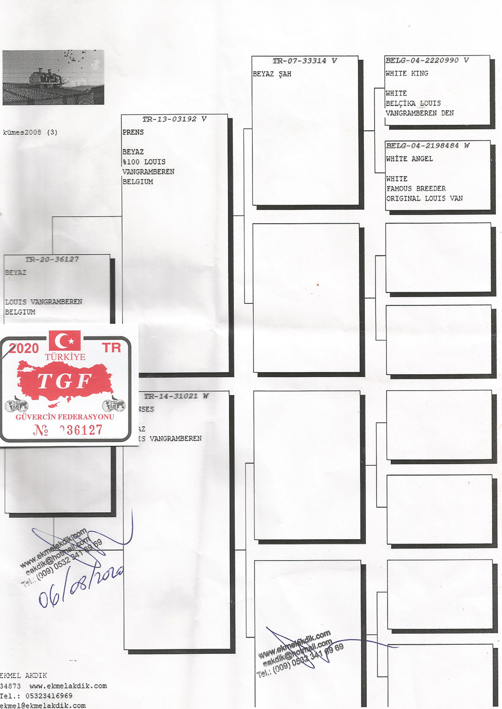 TR20-036127 ERKEK / ORJ. EKMEL AKDİK   LOUİS VANGRAMBEREN % 100