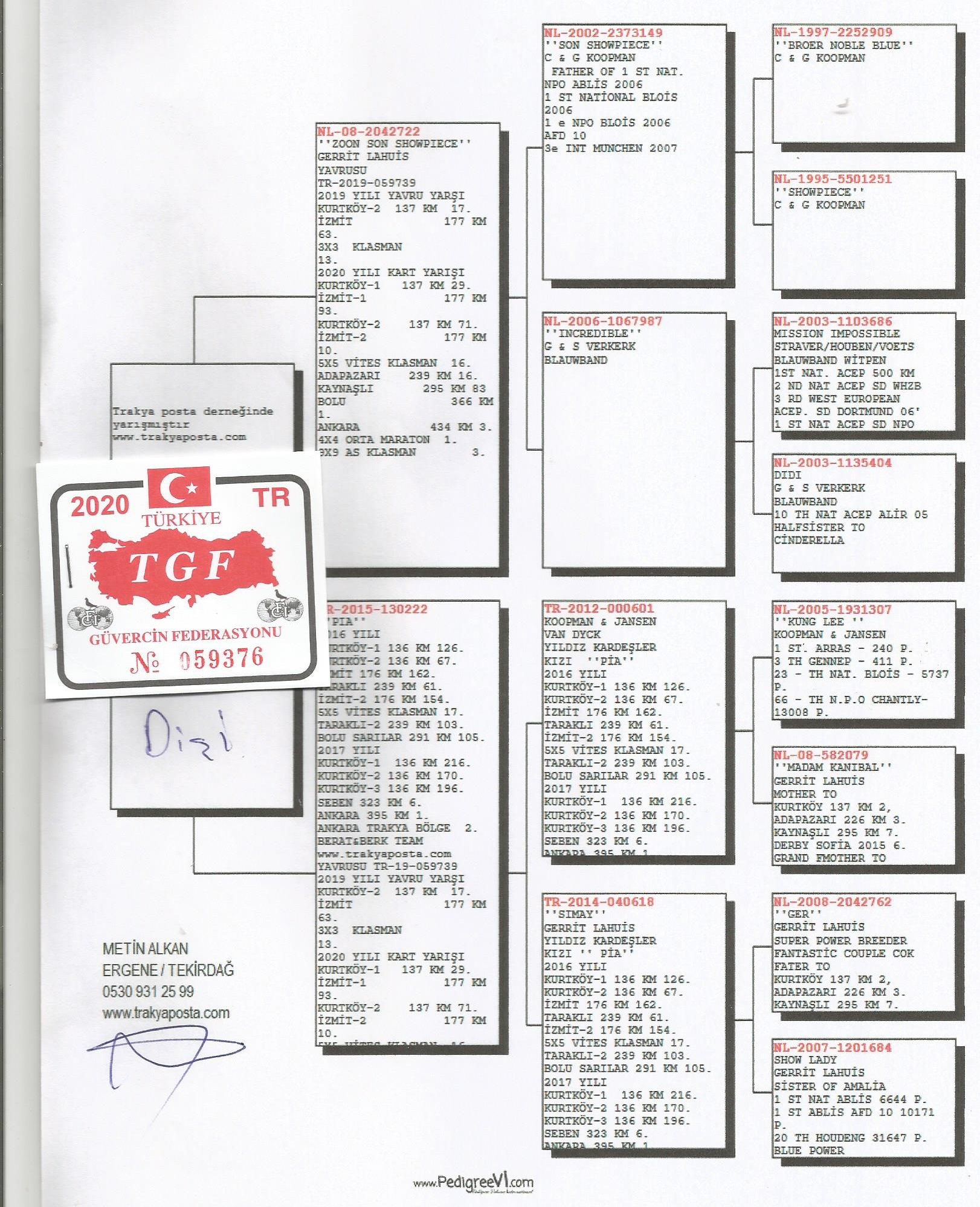 TR20-059376 DİŞİ  / GERRİT LAHUİS - KOOPMAN - KARDEŞİ  -  1. ORTA MARATON KLASMAN