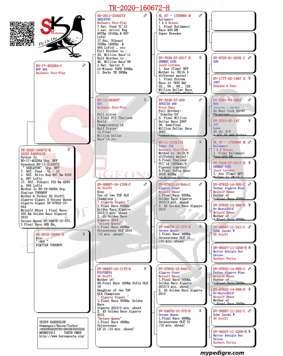 TR20-160672 DİŞİ / DEDESİ SKELETON  1. NAT. KRİVOİ ROG