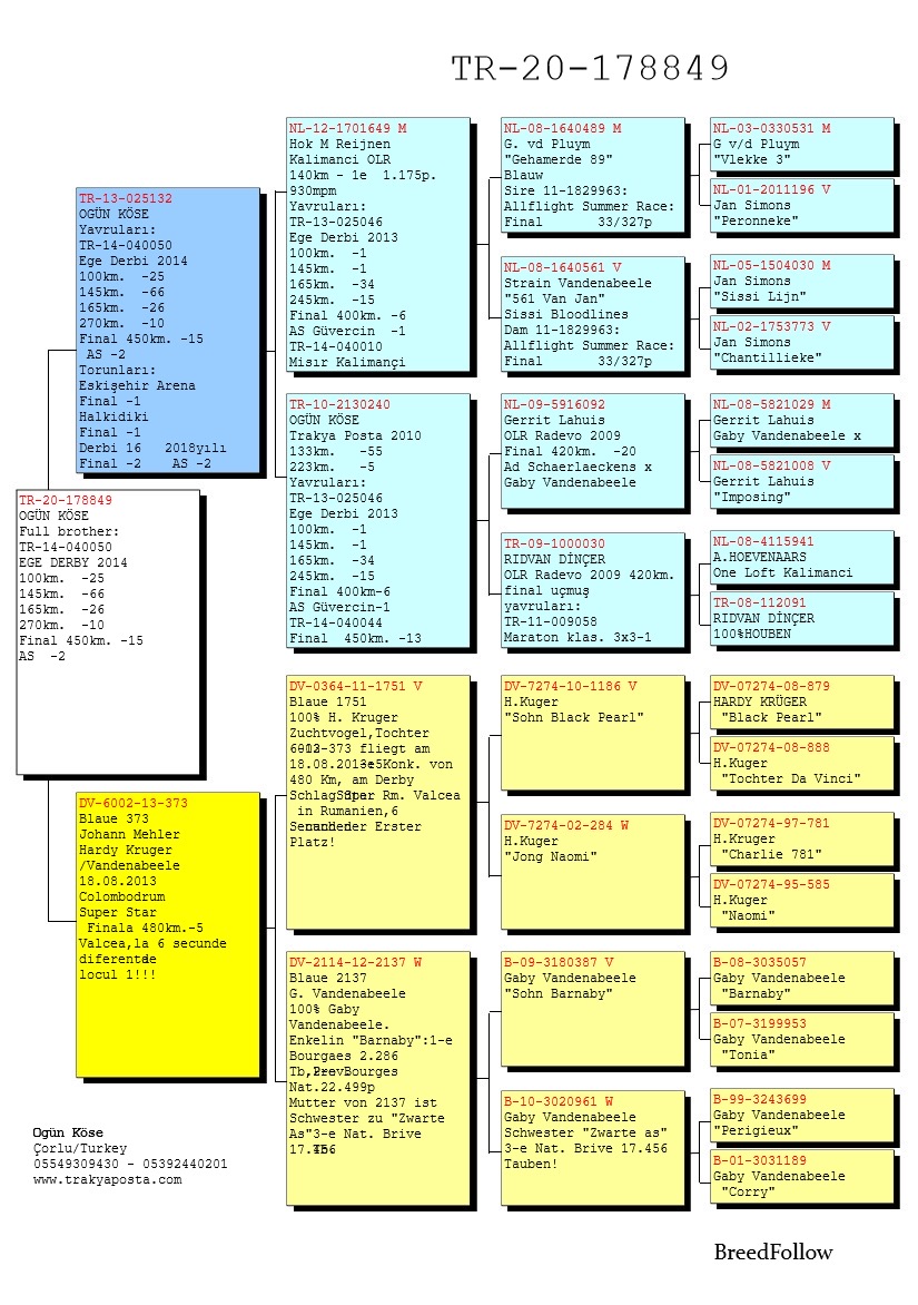 TR20-178849 ERKEK / 050 DİREK ERKEK KARDEŞİ 