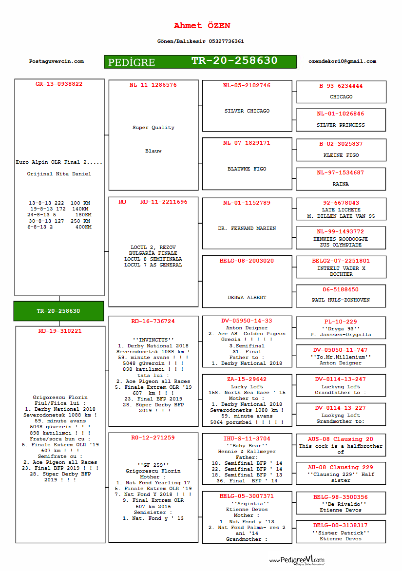 TR20-258630 DİŞİ / BABASI 2. FİNAL 400 KM EURO ALPIN