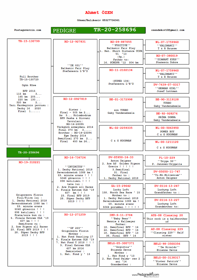 TR20-258696 ERKEK / ORJ AHMET ÖZEN BABASI OGÜN KÖSE ANNESİ G. FLORİN