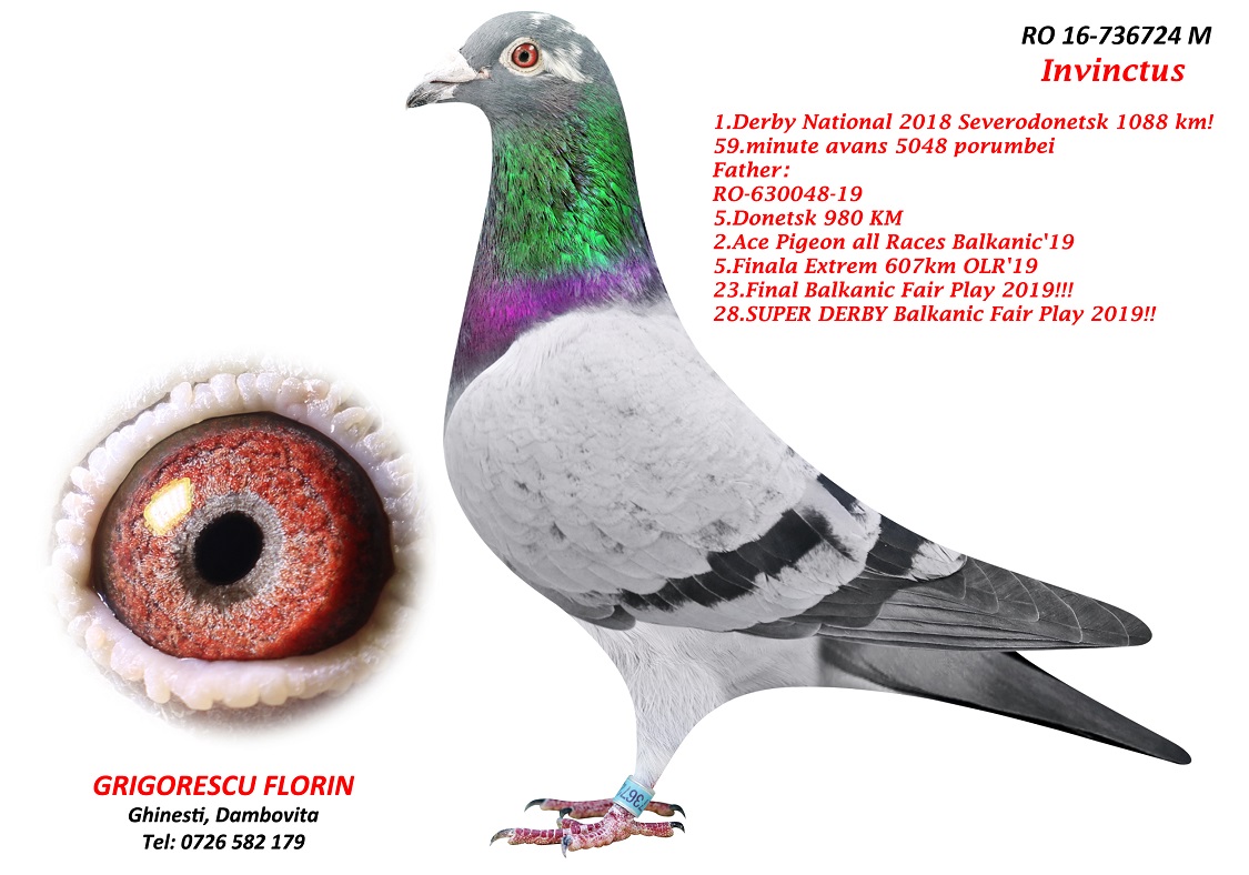 TR20-258696 ERKEK / ORJ AHMET ÖZEN BABASI OGÜN KÖSE ANNESİ G. FLORİN