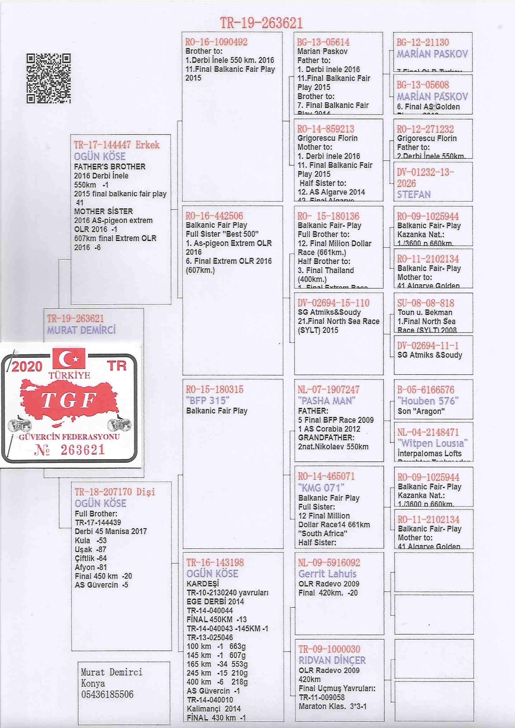 TR20-263621 DİŞİ / OGÜN KÖSE % 100 