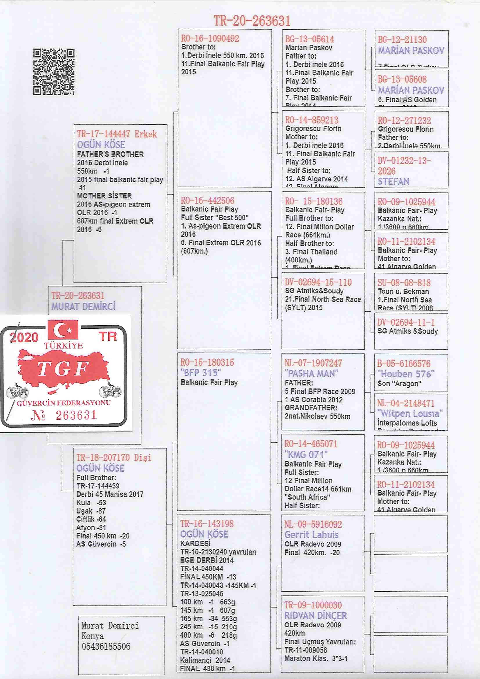 TR20-263631 DİŞİ / OGÜN KÖSE % 100