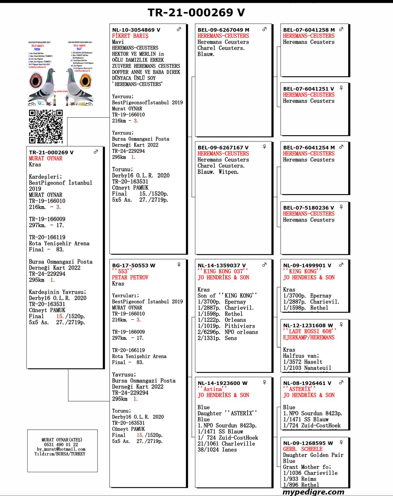 TR21-000269 ERKEK / TAM KARDEŞİ  3.   216 KM BEST OF İSTANBUL