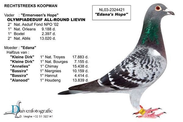 TR21-006669 DİŞİ / TAM KARDEŞİ NİRWANA 1. GENEL KLASMAN 12X12