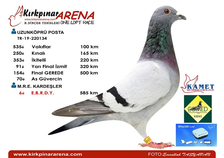 TR21-022020 / POSTACI HUSEYIN CORLU -  392. FİNAL 477 KM