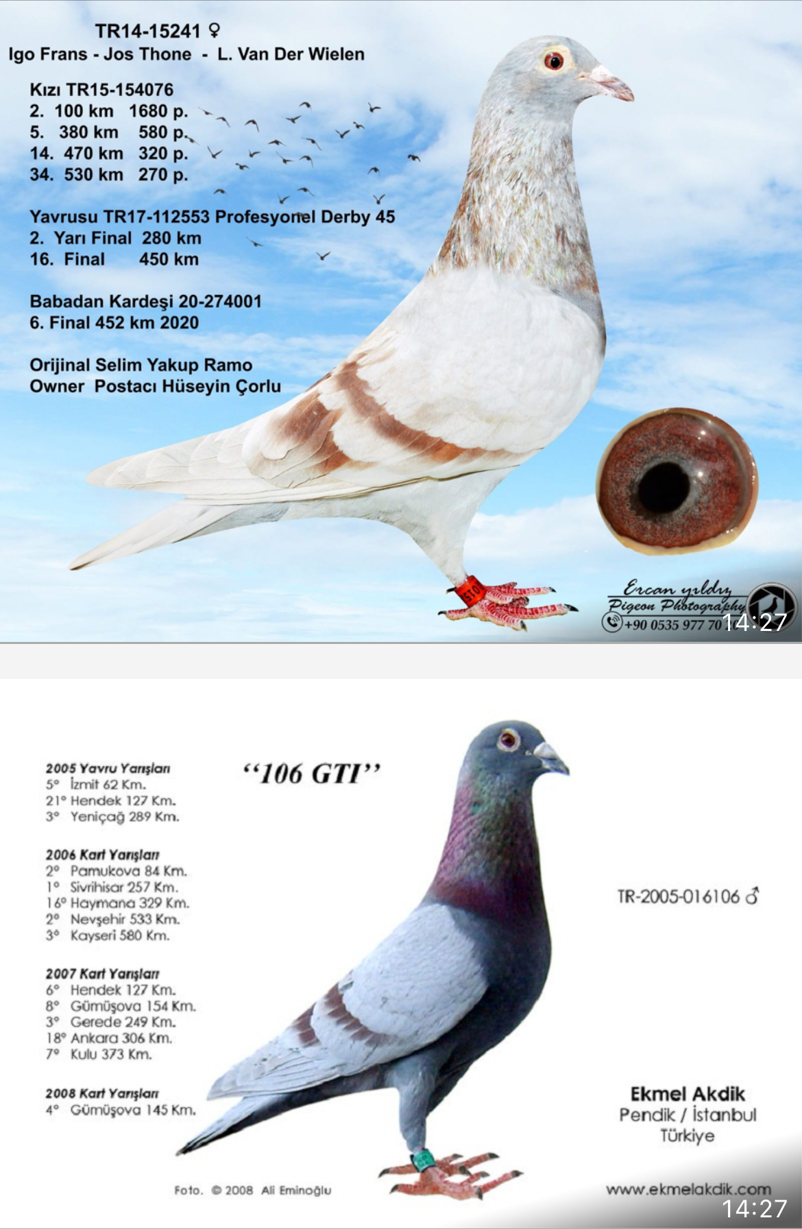 TR21-022021 DİŞİ / YAVRUSU JAMES BOND 007  3 KUPALI