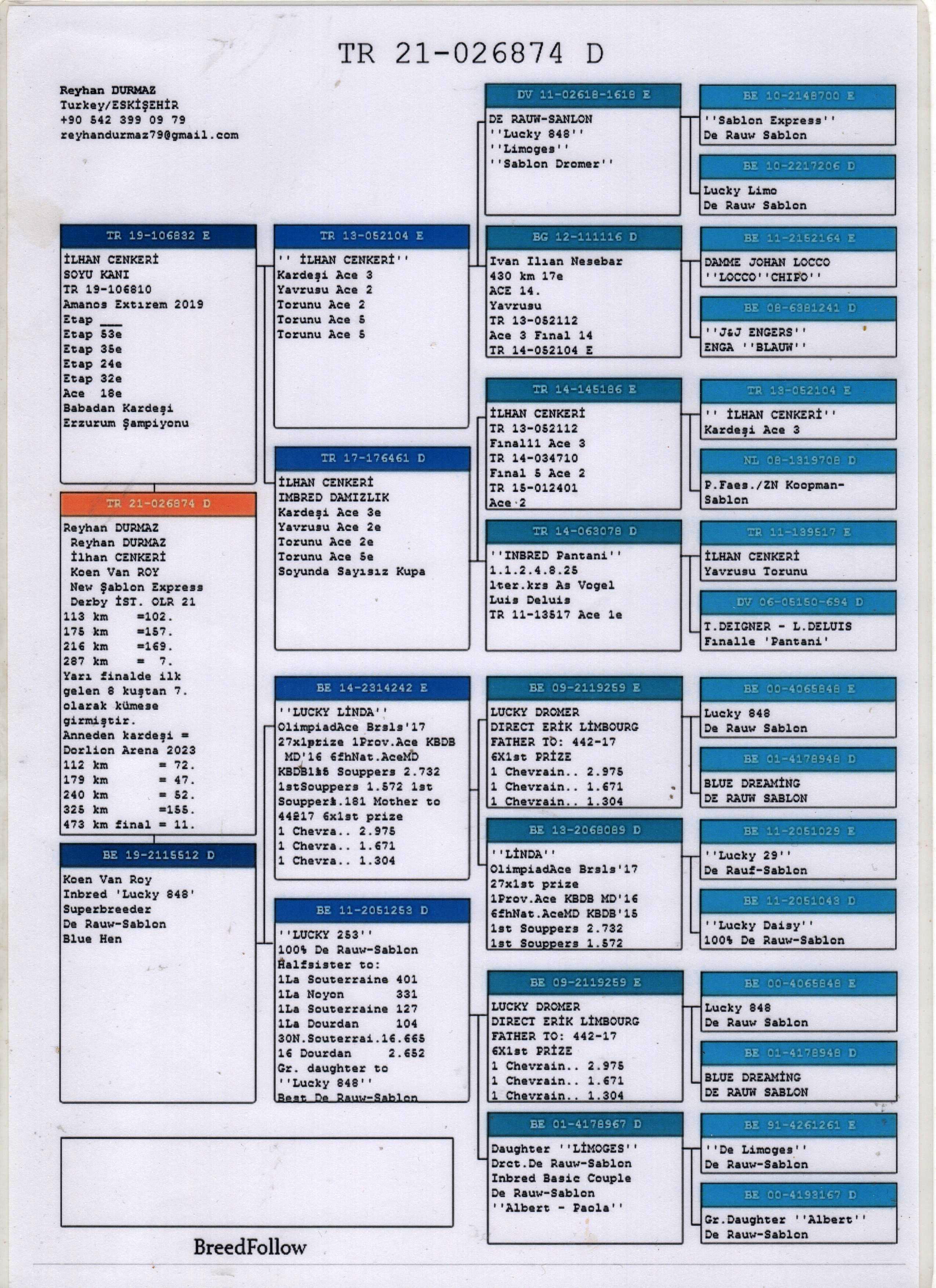 TR21-026874 DİŞİ / KENDİSİ 7.SEMİFİNAL 287 İST DERBY
