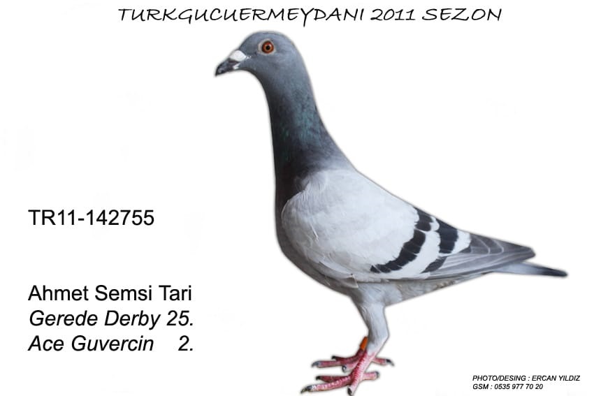 TR21-035440   E&B SILVER  -  15. ÖZEL FİNAL 573 KM