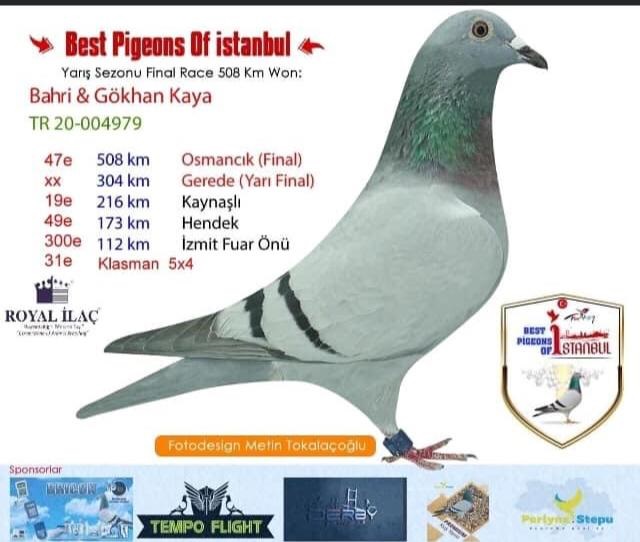 TR21-040467 -  BAHRI & GOKHAN KAYA -  59. ÖZEL FİNAL 573 KM