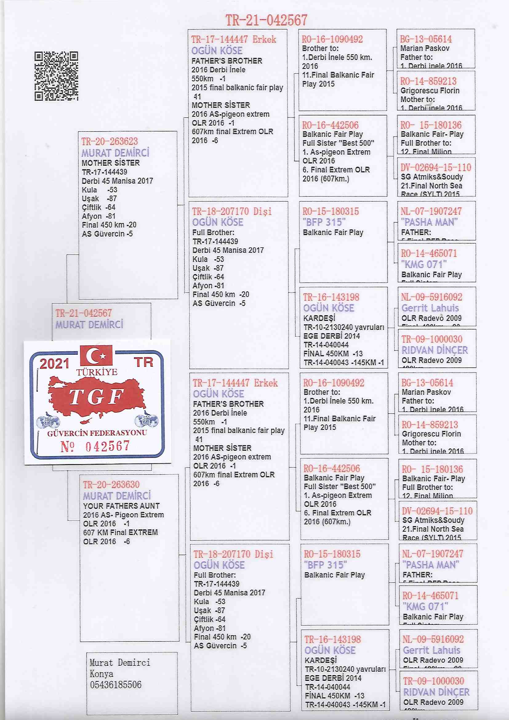 TR21-042567 DİŞİ / OGÜN KÖSE % 100