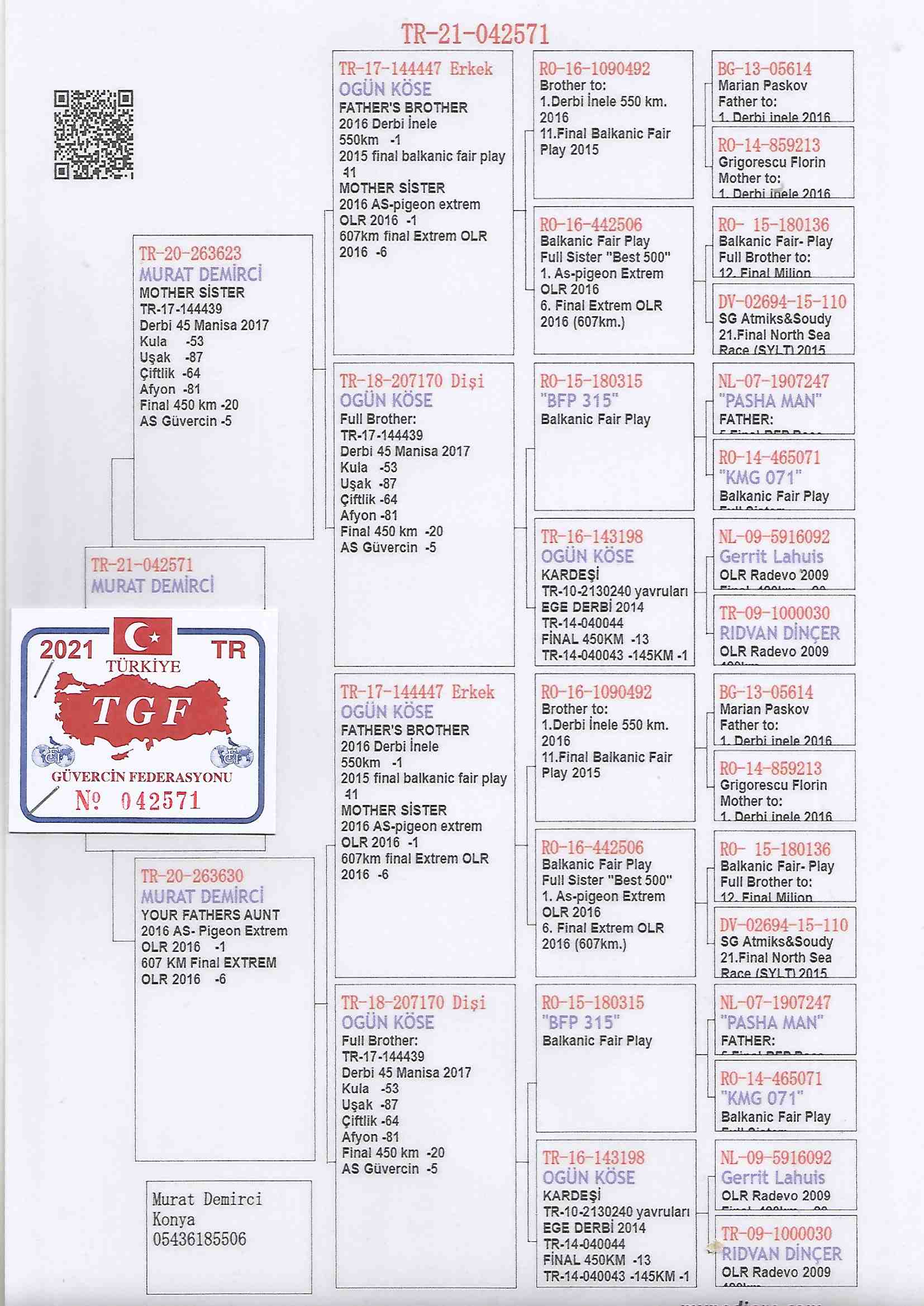 TR21-042571 ERKEK / OGÜN KÖSE % 100