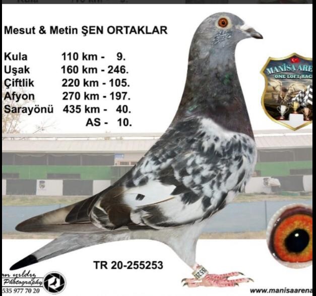 TR21-055205  /  TEAM SAMSUN  -  388. FİNAL 477 KM