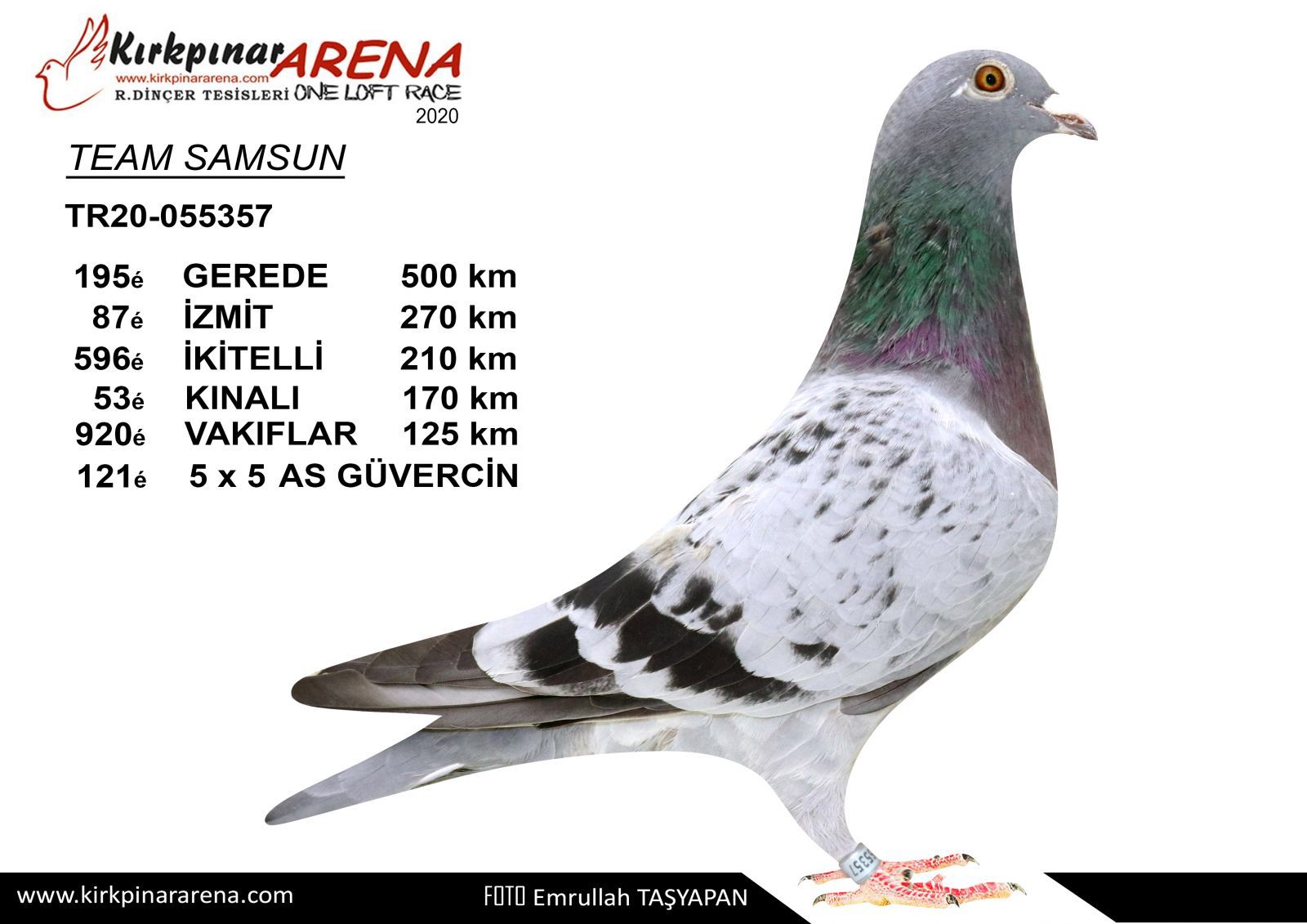 TR21-055316 / TEAM SAMSUN -  19. FİNAL 477  KM  /  80. AS GÜVERCİN 