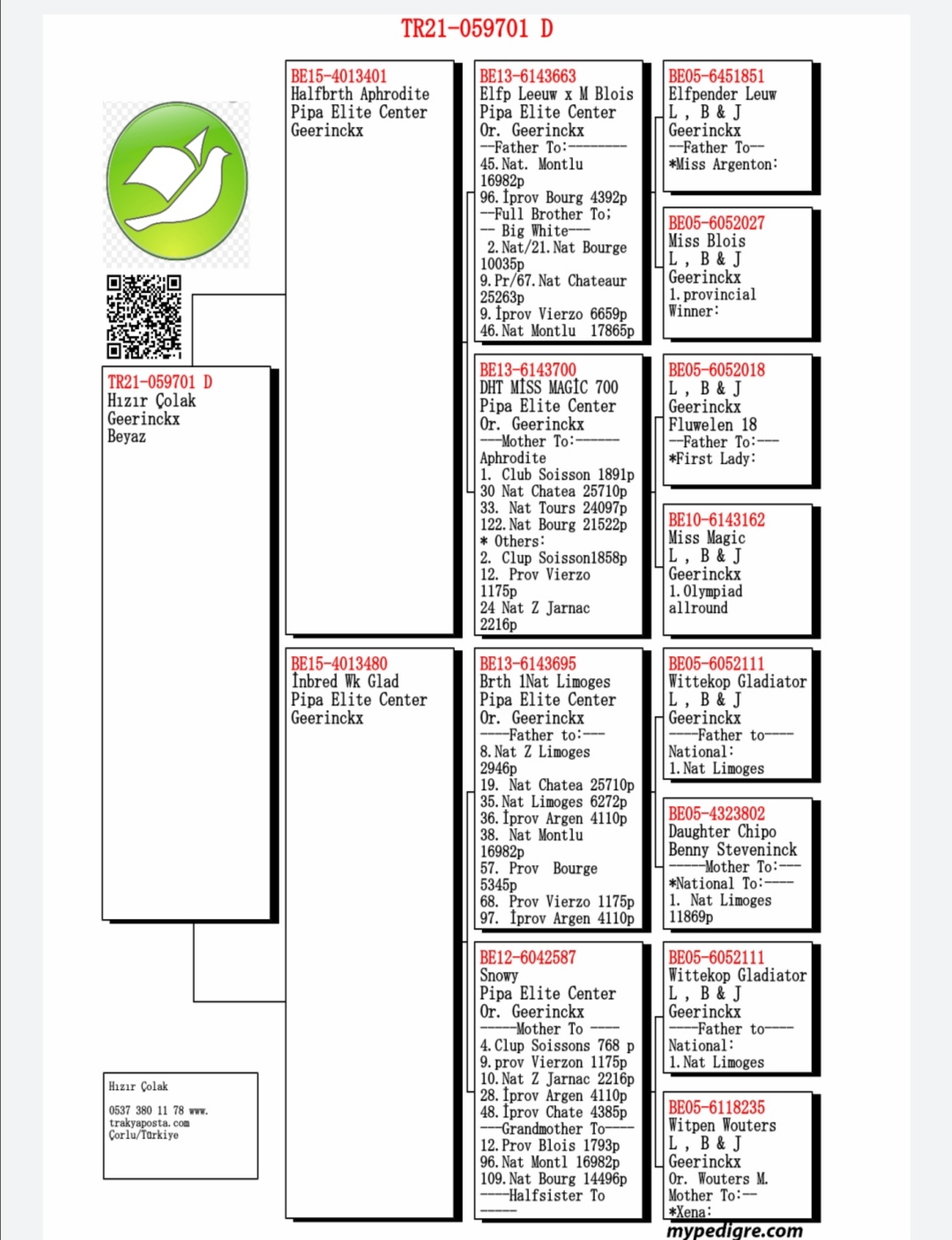 TR21-059701 DİŞİ  / 2 ORİJİNAL PİPA ELİTE CENTER ' DAN ÇIKMA . GEERİNCKX % 100