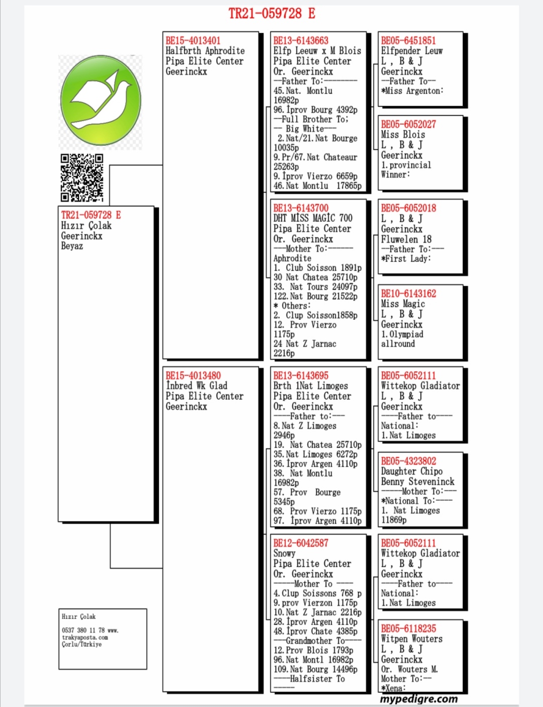 TR21-059728 ERKEK / 2 ORİJİNAL PİPA ELİTE CENTER ' DAN ÇIKMA . GEERİNCKX % 100