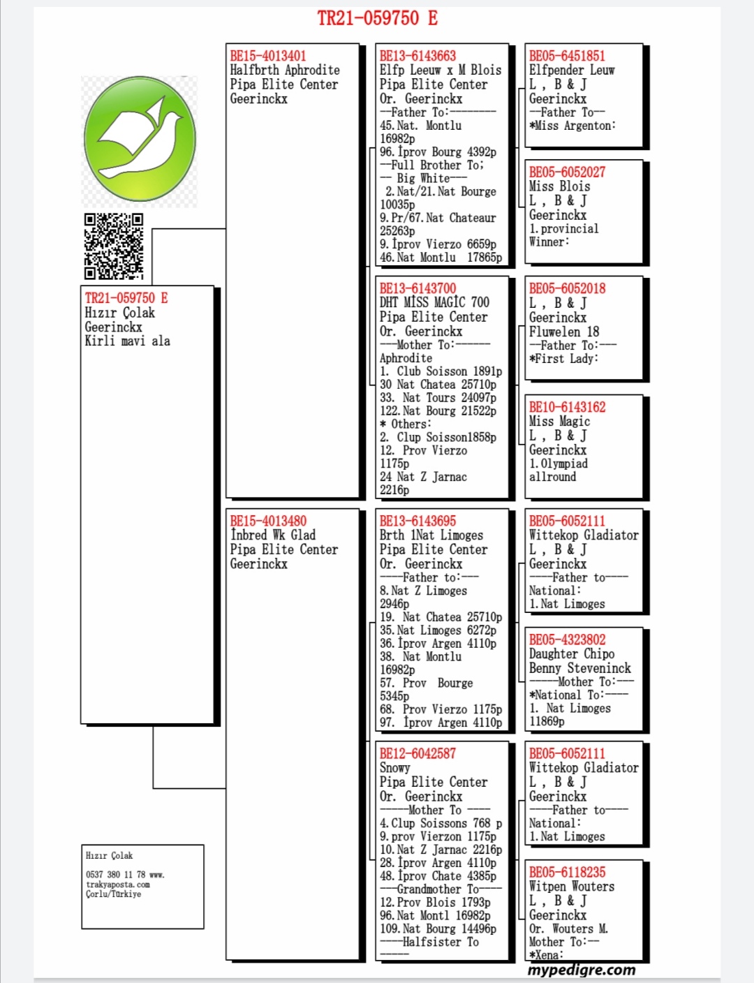 TR21-059750 ERKEK / 2 ORİJİNAL PİPA ELİTE CENTER ' DAN ÇIKMA . GEERİNCKX % 100