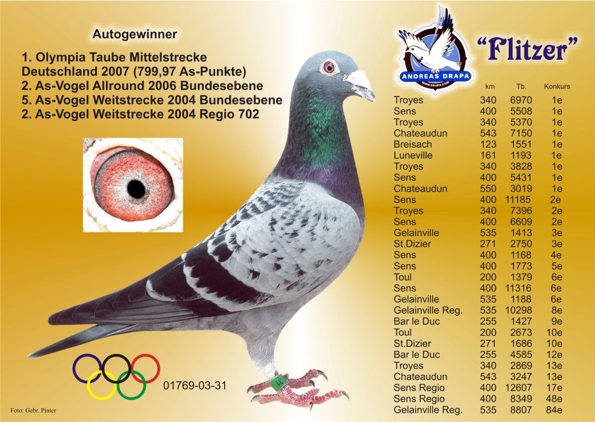TR21-059915 ERKEK / BABASI DRAPA GEBR POUW  /  ANNESİ 63. FİNAL