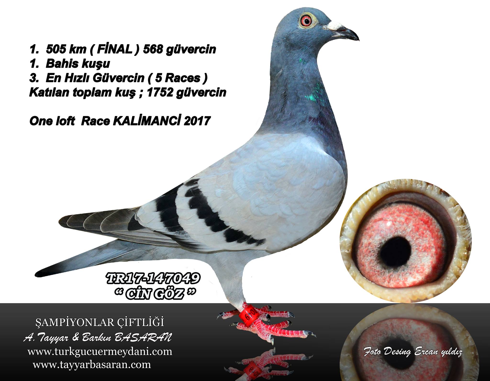 TR21-059926 DİŞİ / TAM KARDEŞİ - 3.  FİNAL OLR DERBY 16  2020 ANNESİ CİNGÖZ