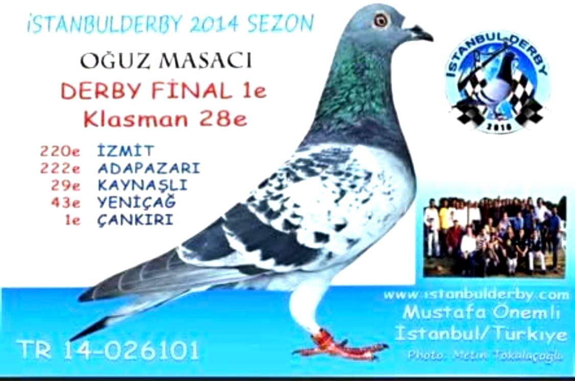 TR21-061923 / MEHMET KILINC  - 27. FİNAL  477 KM  -  15. AS GÜVERCİN