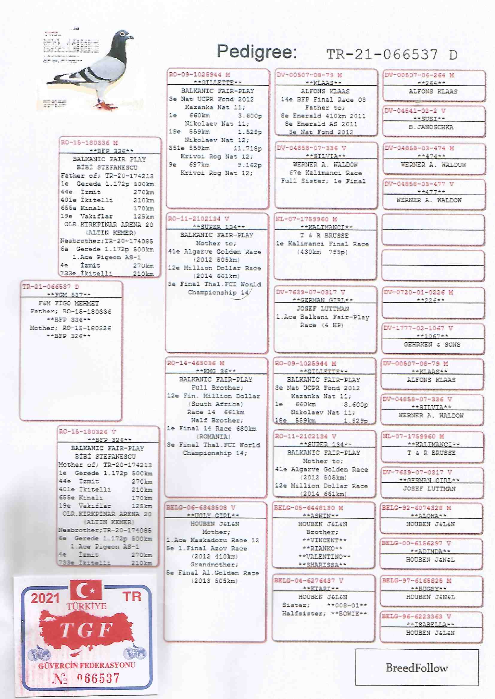 TR21-066537 DİŞİ / KARDEŞİ 1. FİNAL KIRPINARARENA & 1. AS KIRKPINARARENA