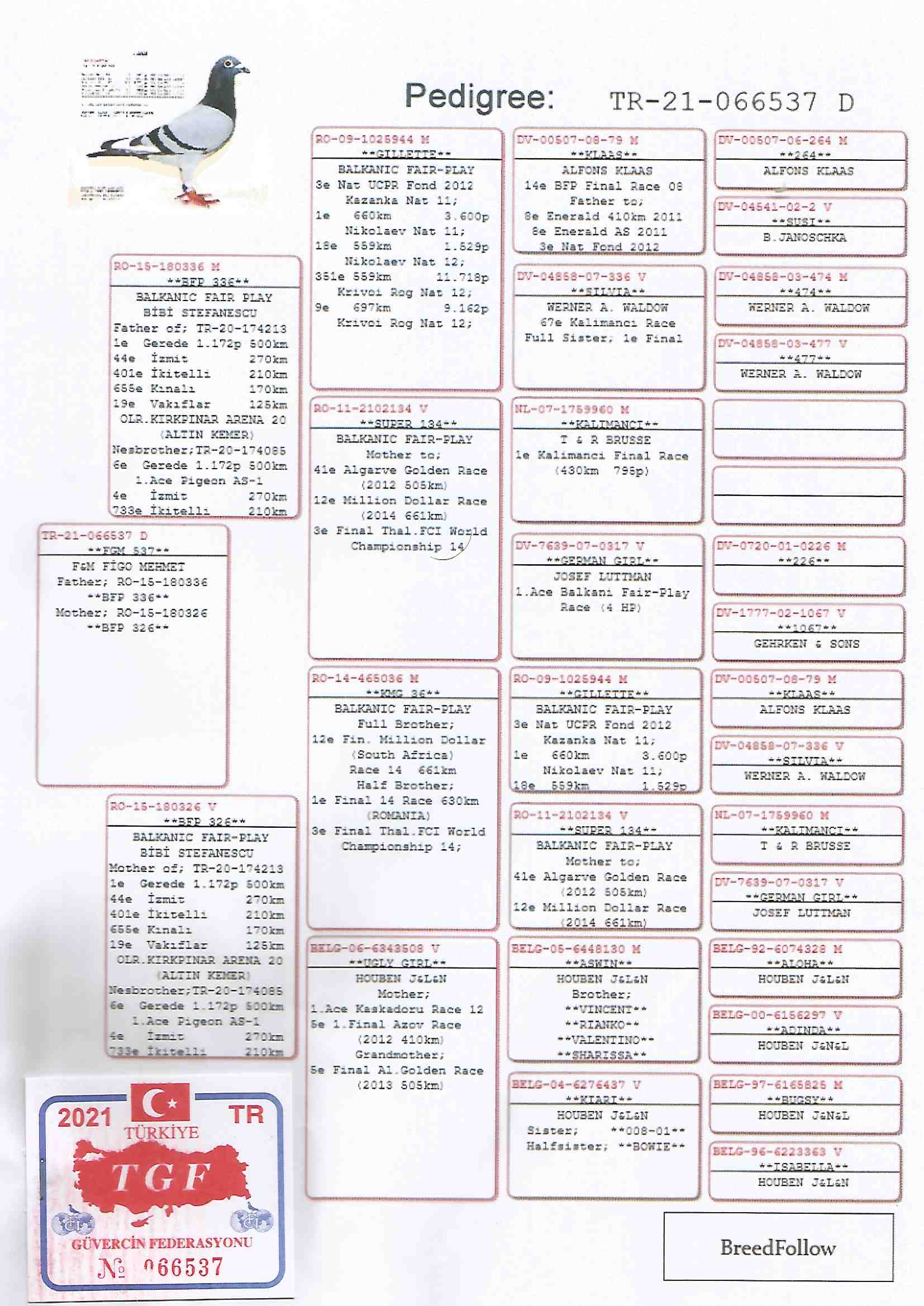 TR21-066537 DİŞİ / KARDEŞİ 1. FİNAL KIRPINARARENA & 1. AS KIRKPINARARENA