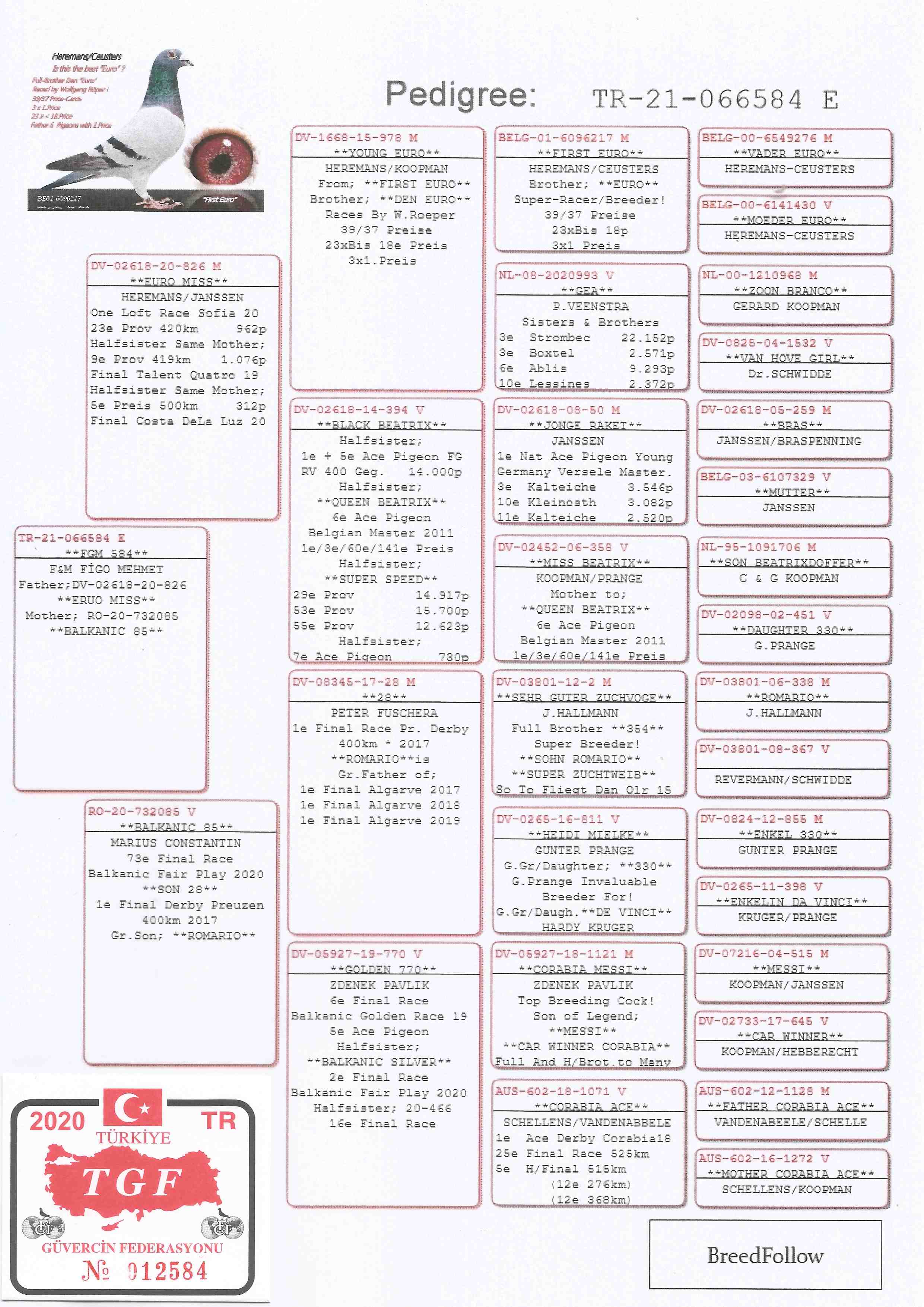 TR21-066584 ERKEK /  BABASI 23. FİNAL OLR SOFİA - ANNESİ  73. FİNAL BALKANİC FAİR