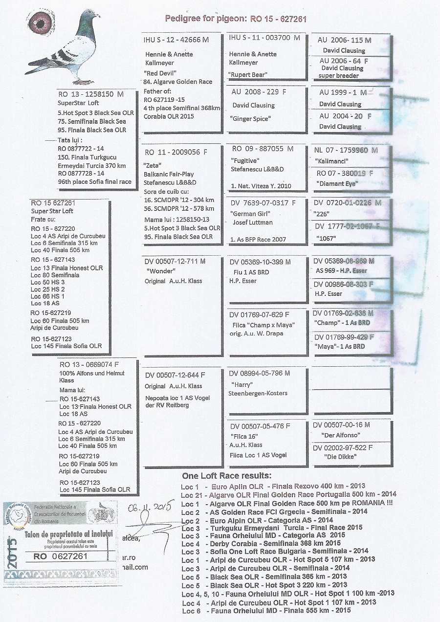 TR21-066597 DİŞİ / BABASI DRAPA HOOYMANS ANNESİ HENNİ ANETTE - ALFON KLAAS