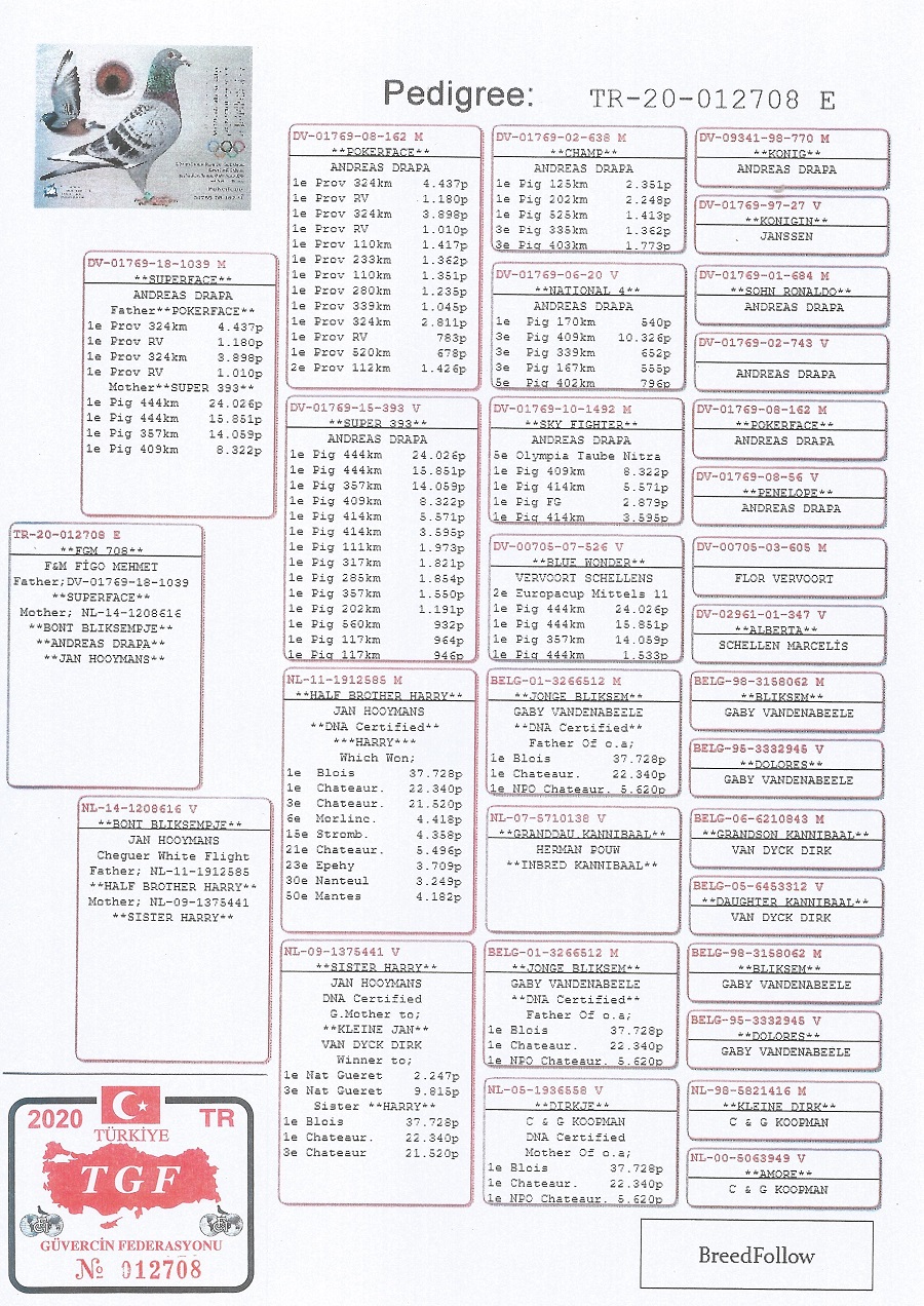 TR21-066597 DİŞİ / BABASI DRAPA HOOYMANS ANNESİ HENNİ ANETTE - ALFON KLAAS