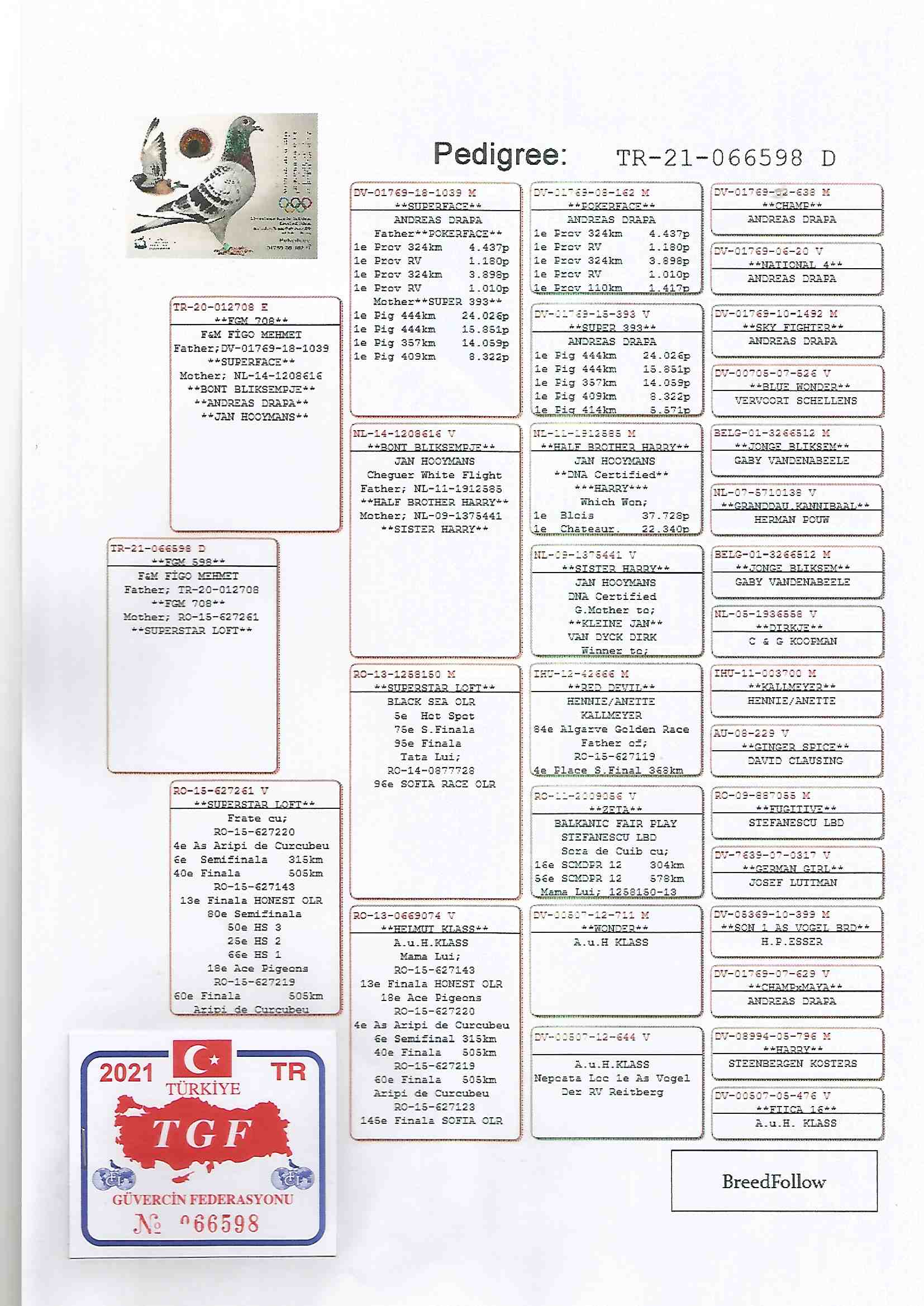 TR21-066598 DİŞİ /  BABASI DRAPA JAN HOOYMANS 