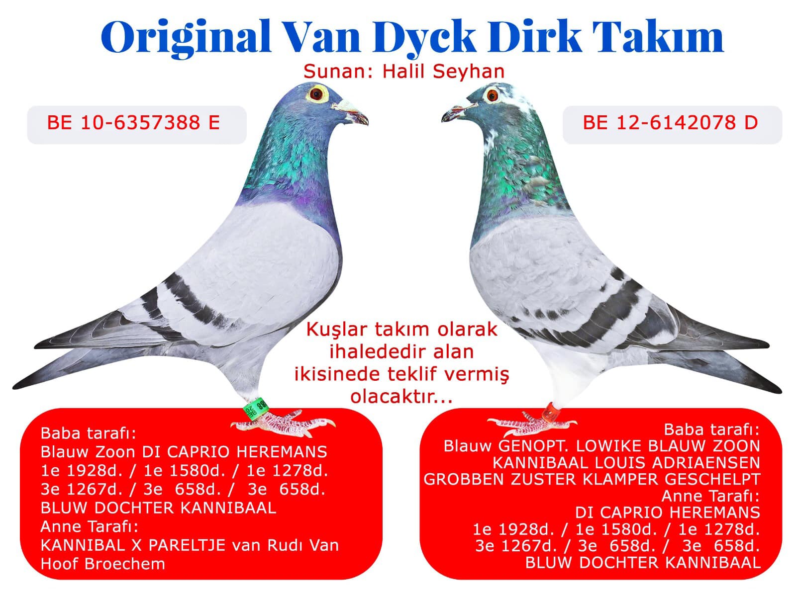 TR21-122148 ERKEK /BABASI DIRK VAN DYCK % 100 ANNESI 14. FINAL SUPER STAR