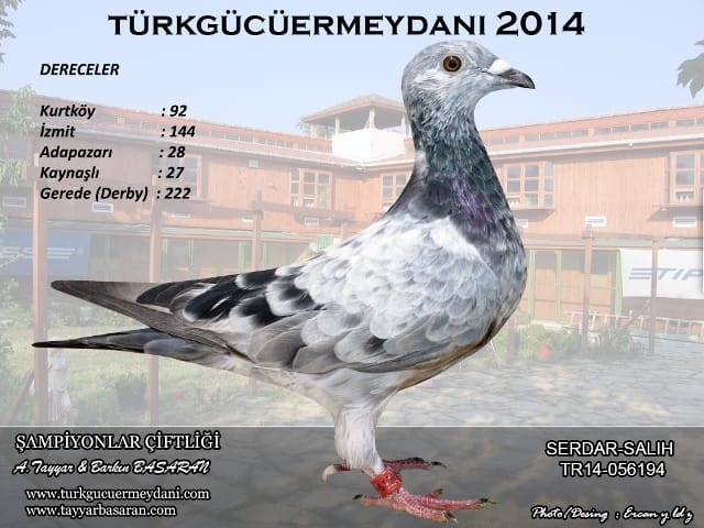 TR21-139560 / TUNAY ATALAY  -  29. FİNAL 477 KM   -  208. AS GÜVERCİN