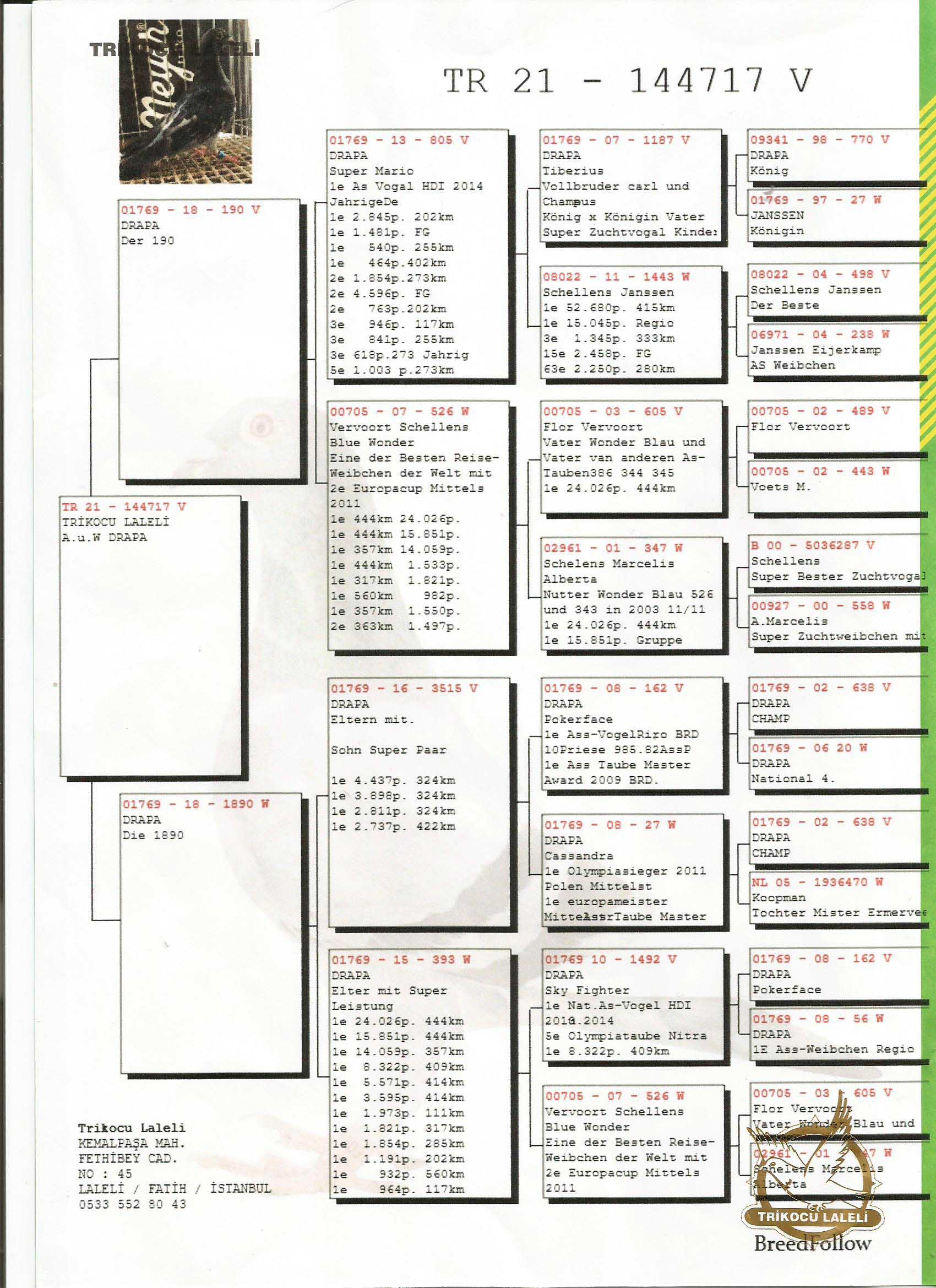 TR21-144717 ERKEK / ANDREAS DRAPA % 100