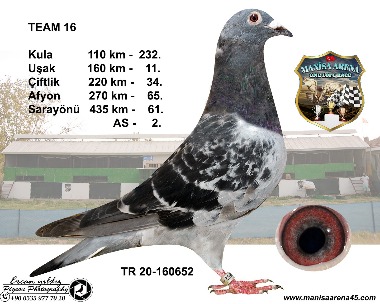 TR21-160673 ERKEK / KARDEŞİ 2. ACE KLASMAN 5X5 MANİSA ARENA