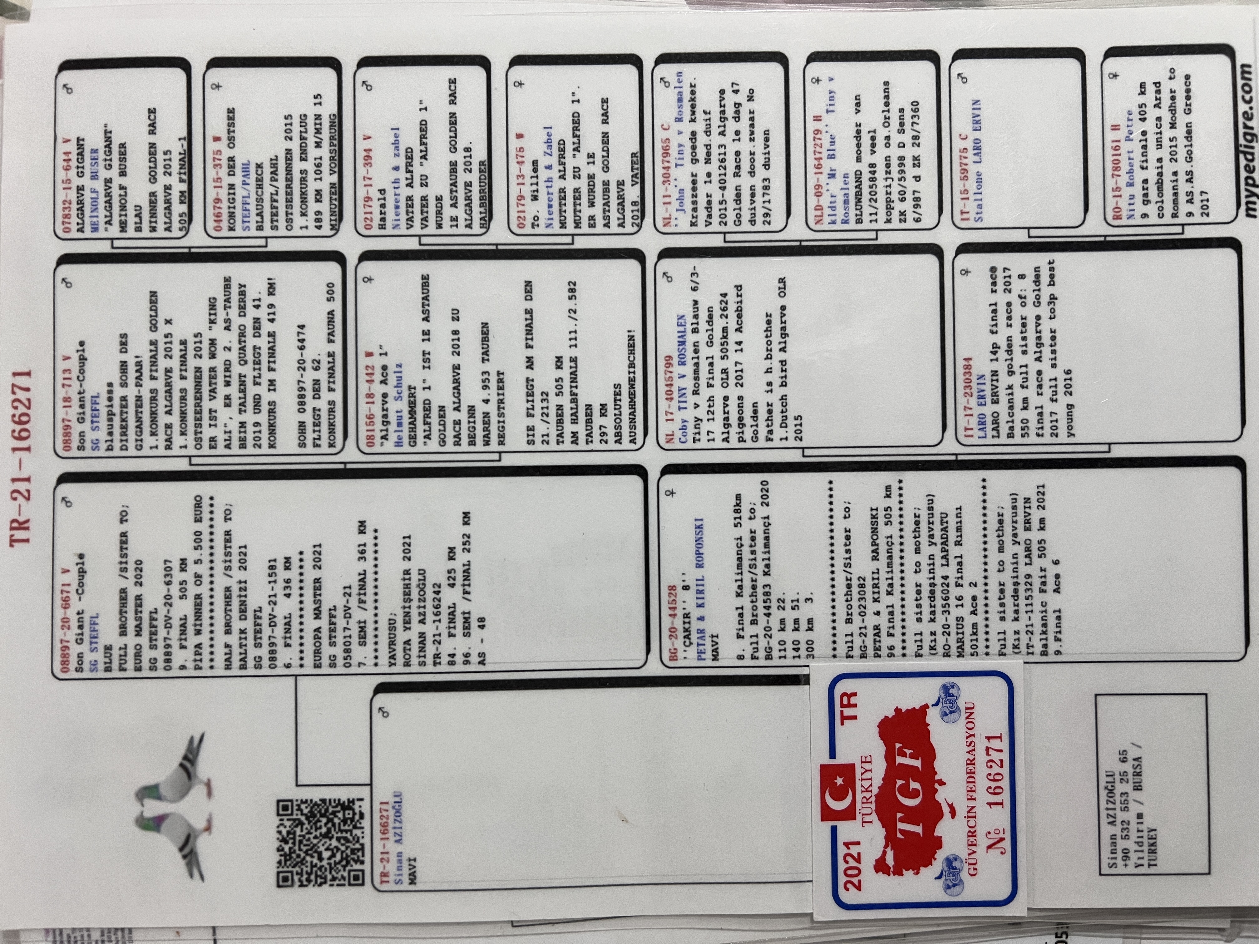 TR21-166271 ERKEK / ANNESİ 8 FİNAL KALIMANCI 