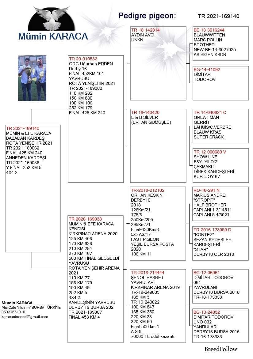 TR21-169140 DİŞİ / MÜMİN KARACA