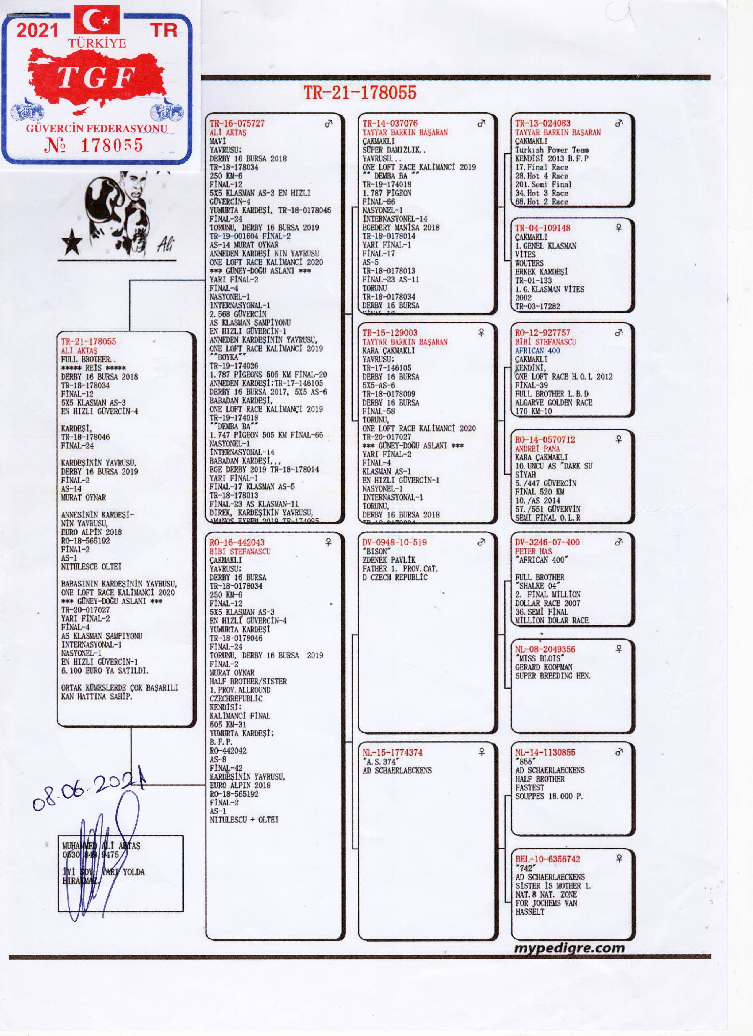 TR21-178055 ERKEK / REIS FULL BROTHER 3 AS G&Uuml;VERCİN DERBY16